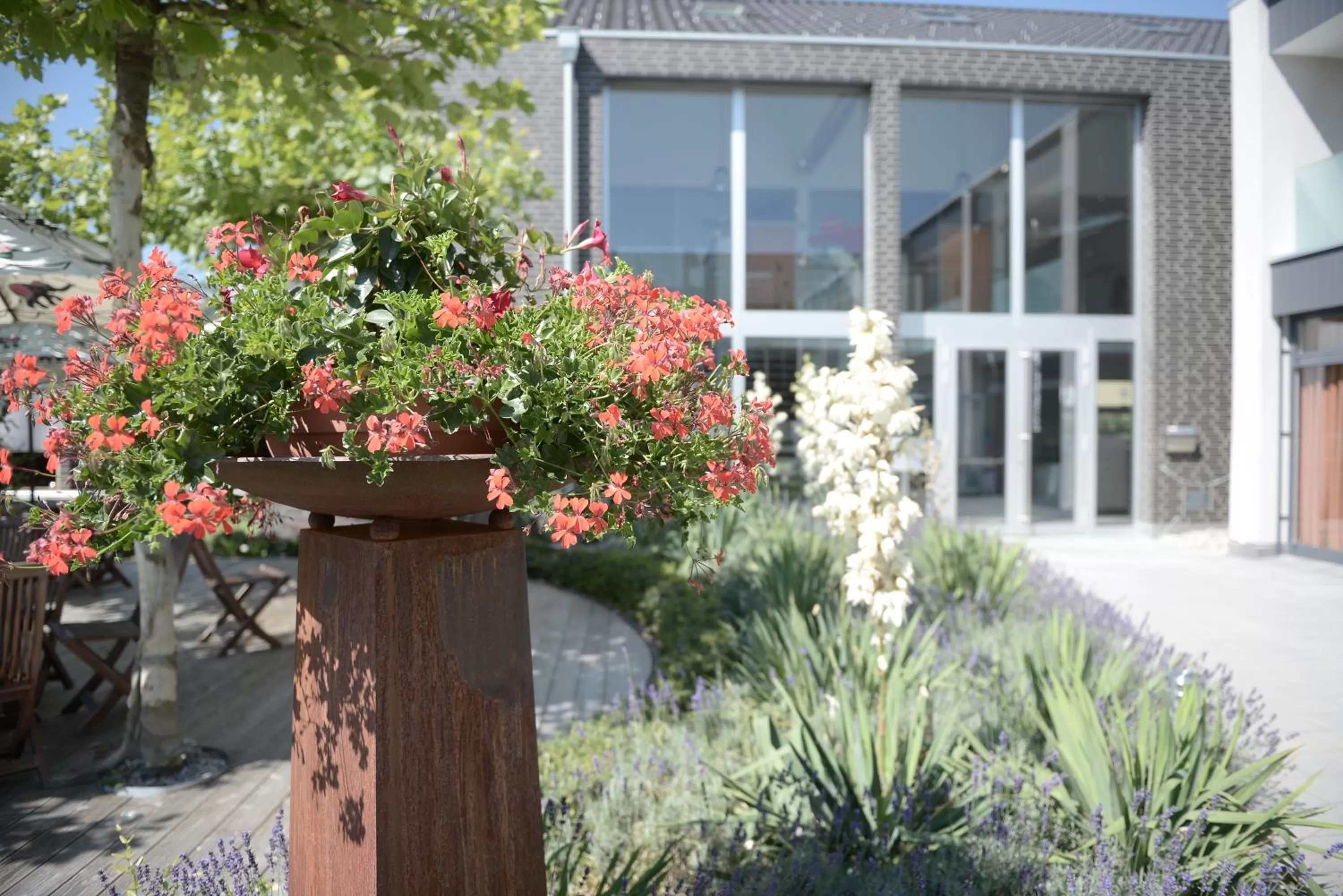 Spring in Q.C.M. Campus