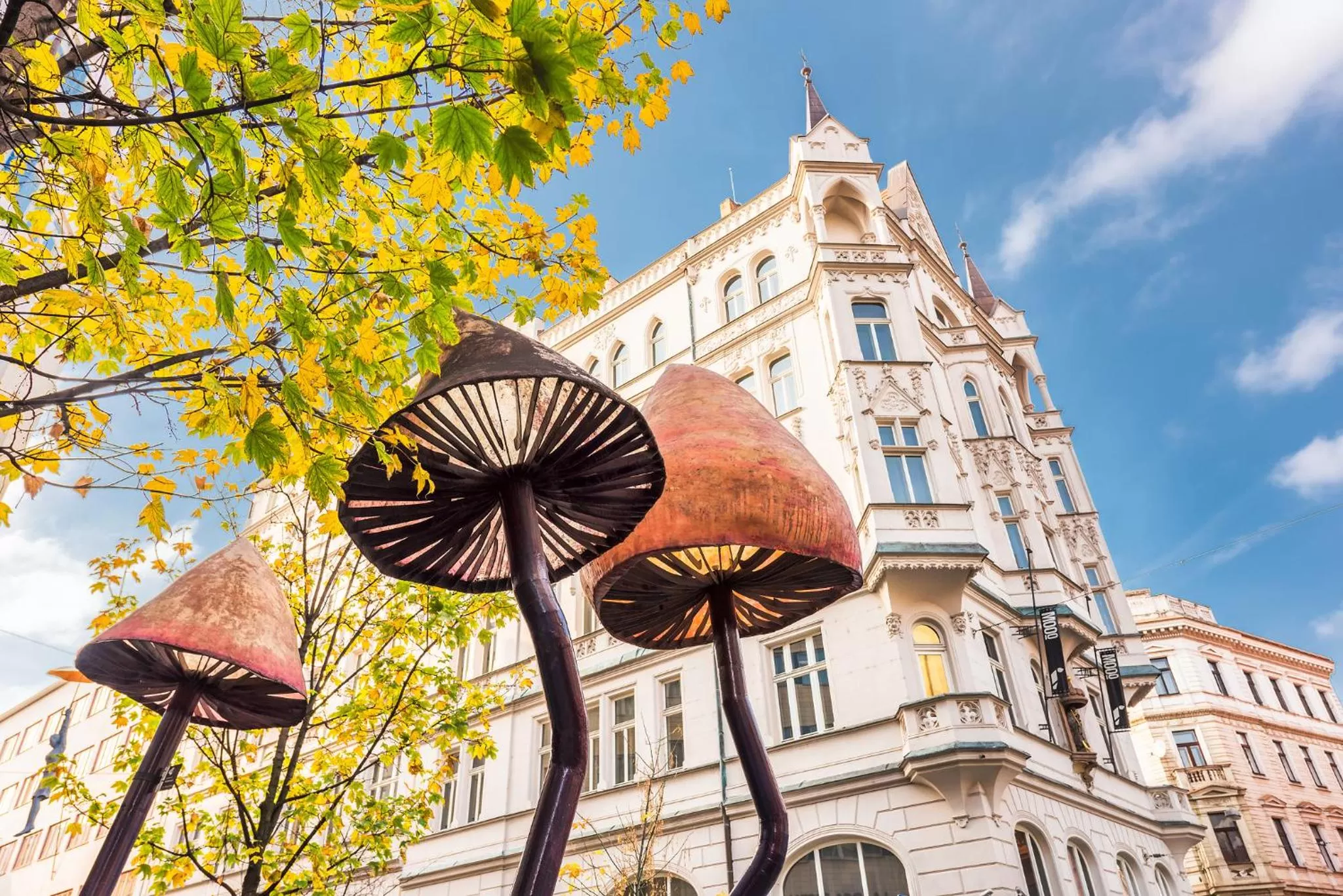 Facade/entrance in MOOo Downtown