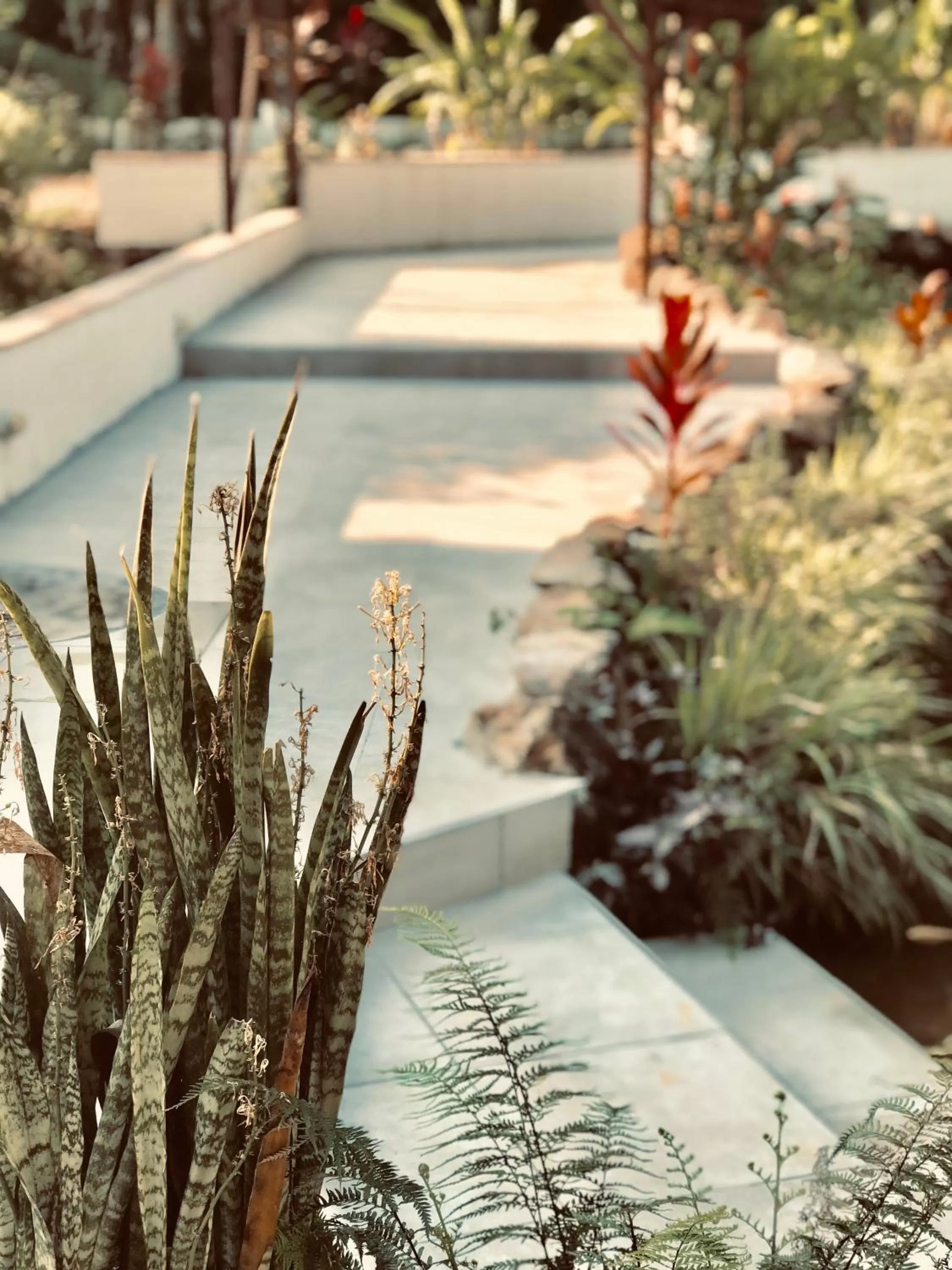 Pool view in Sattva Land