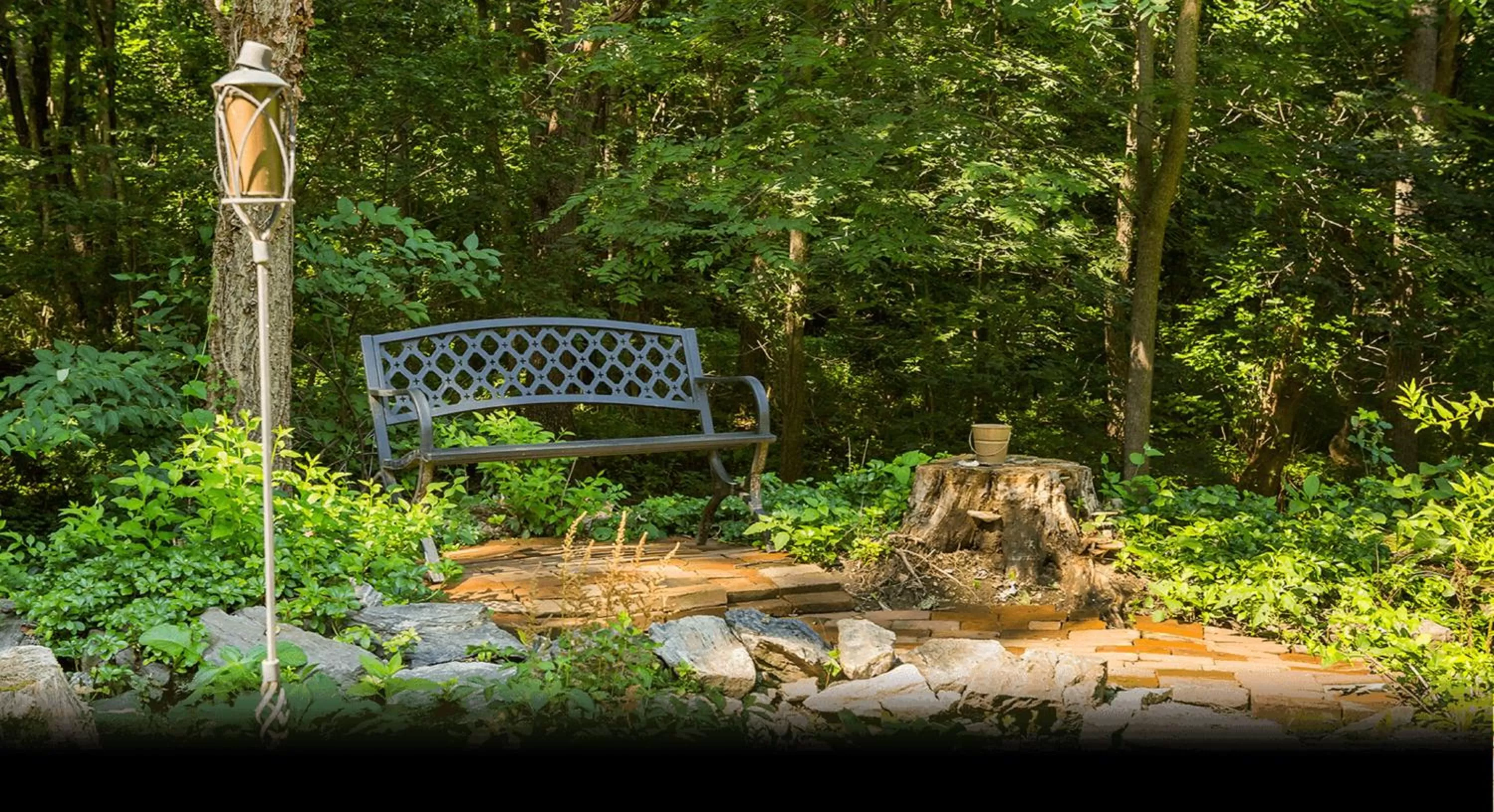 Summer in The Hollinger House