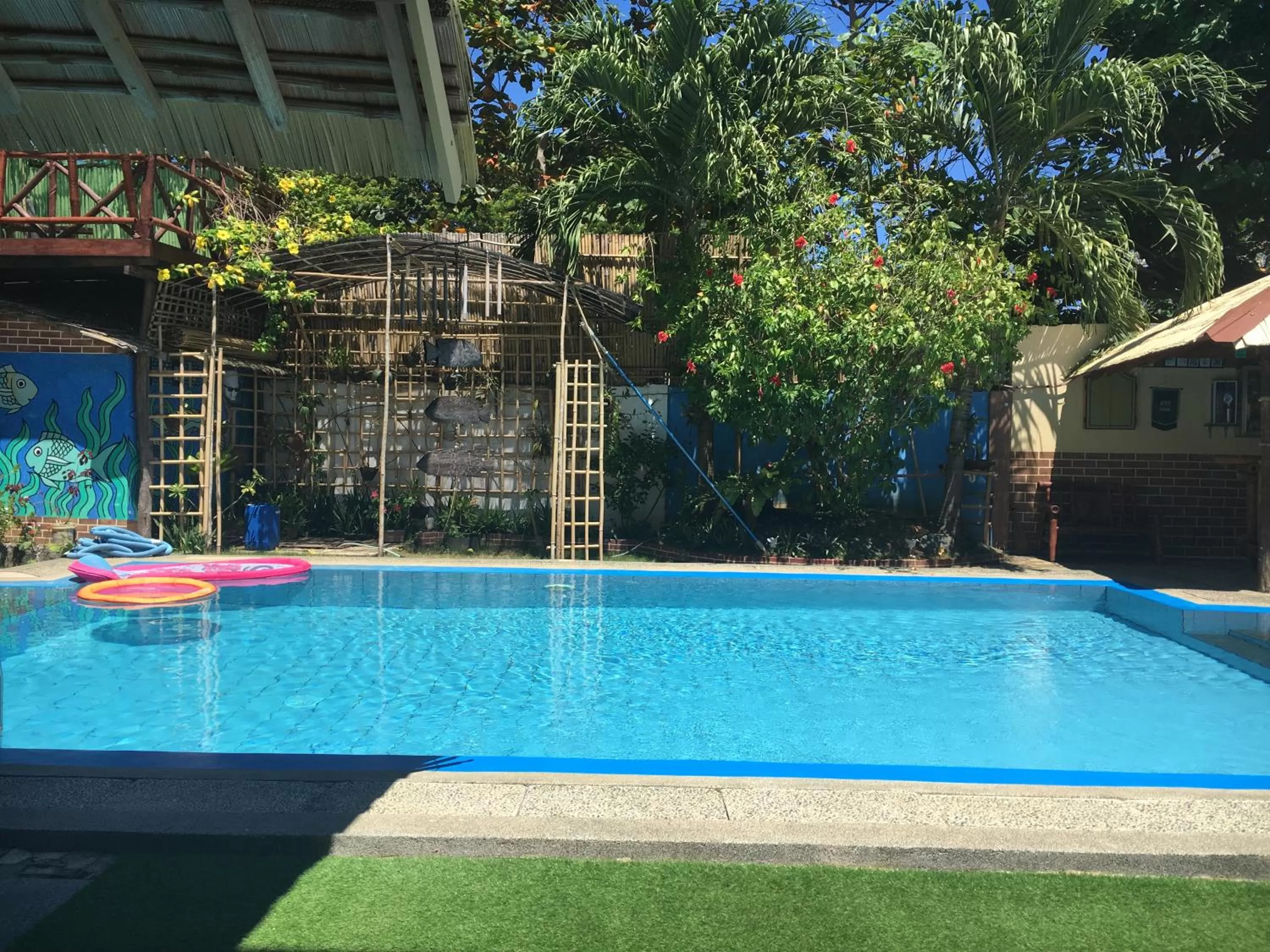 Swimming pool in Lala Panzi Bed and Breakfast