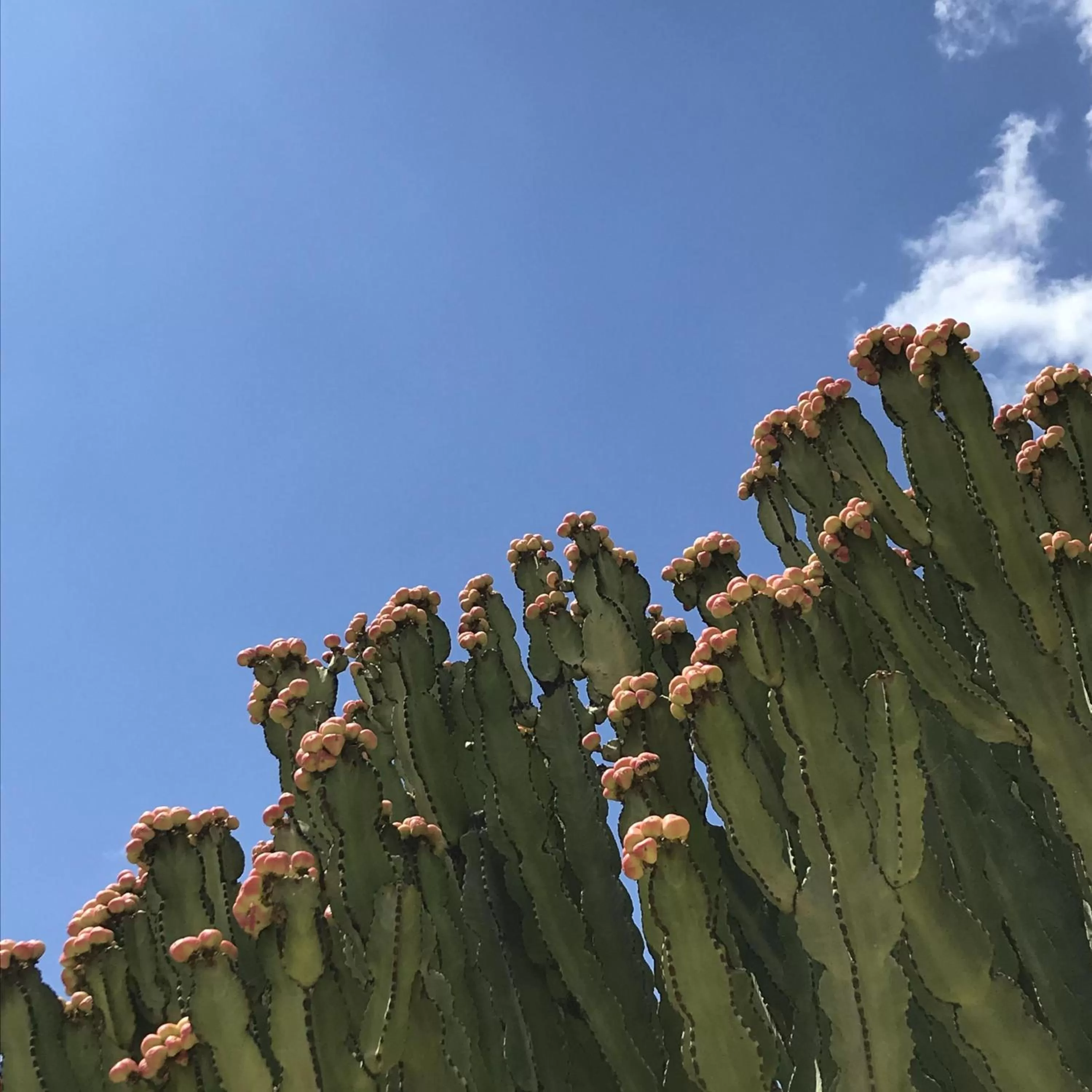 Property building in CasapiuHolidaySicilia-Adults Only