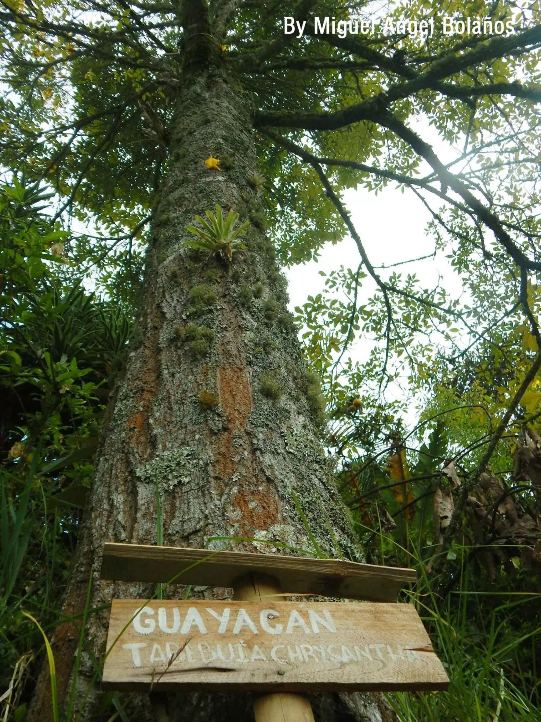 Natural landscape in Eco Lodge La Juanita