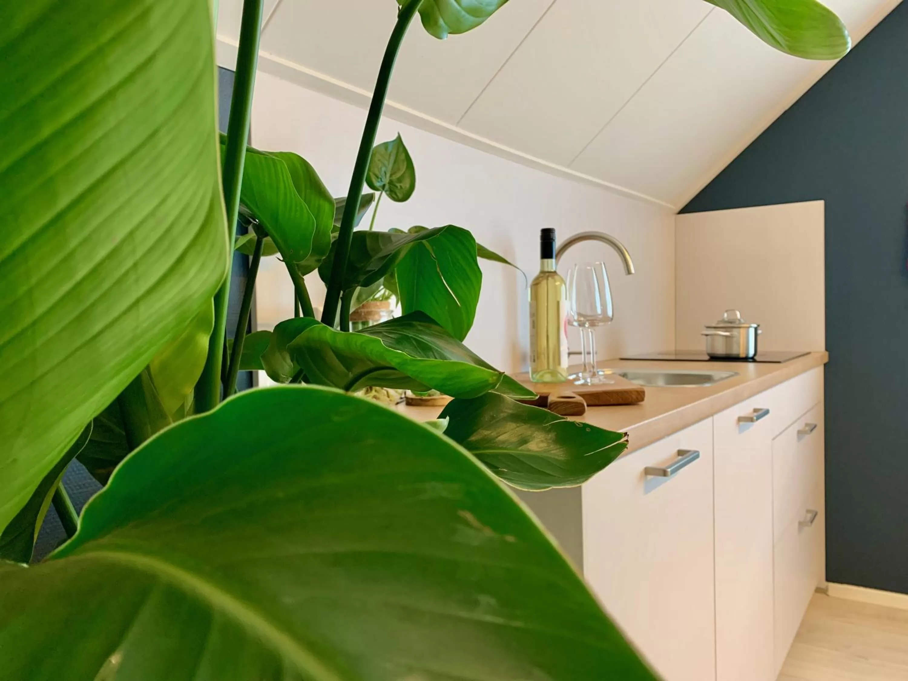 Kitchen or kitchenette, Kitchen/Kitchenette in BnB It Hazzeleger Beetsterzwaag