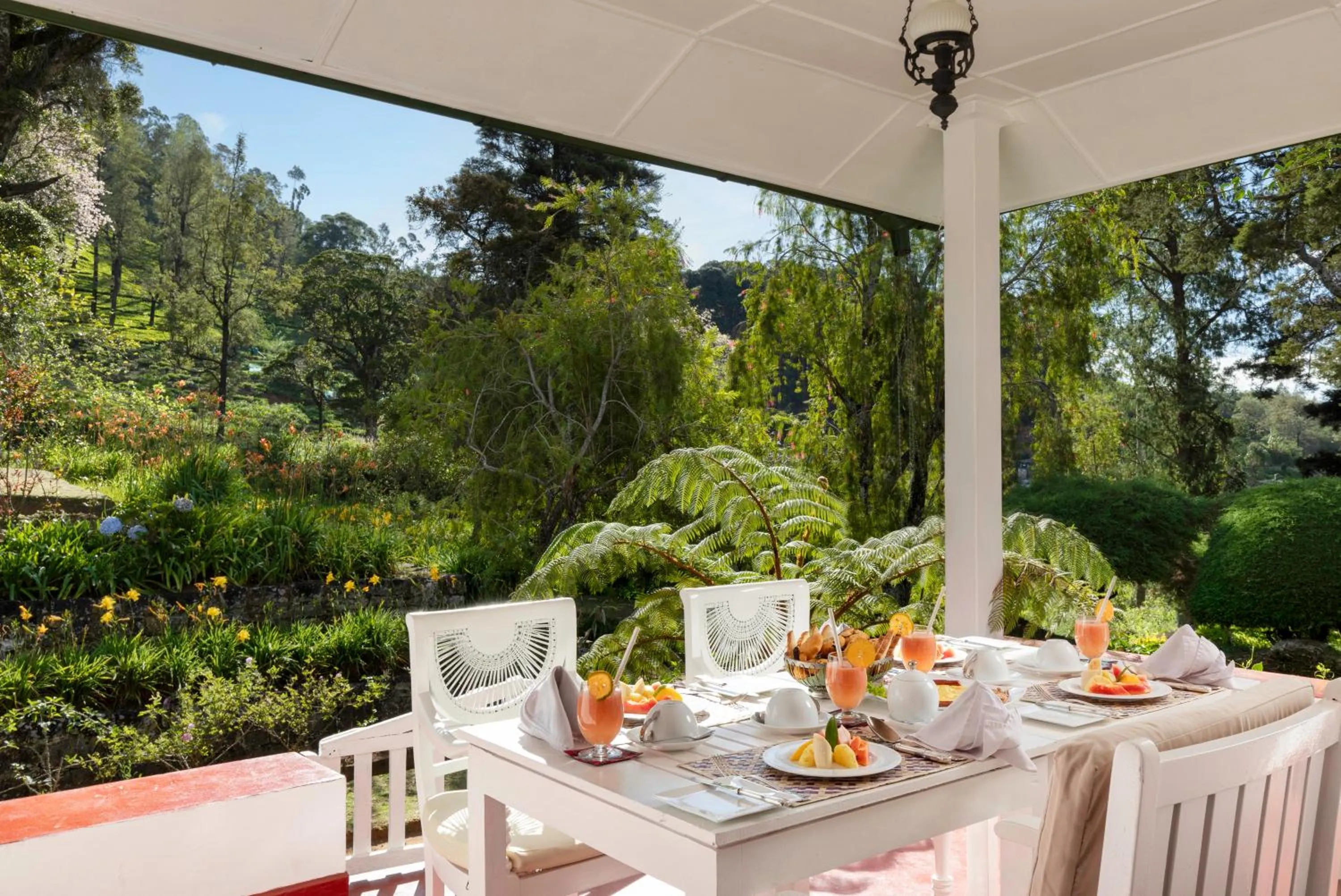 Breakfast in Scottish Planter Bungalow- Thema Collection