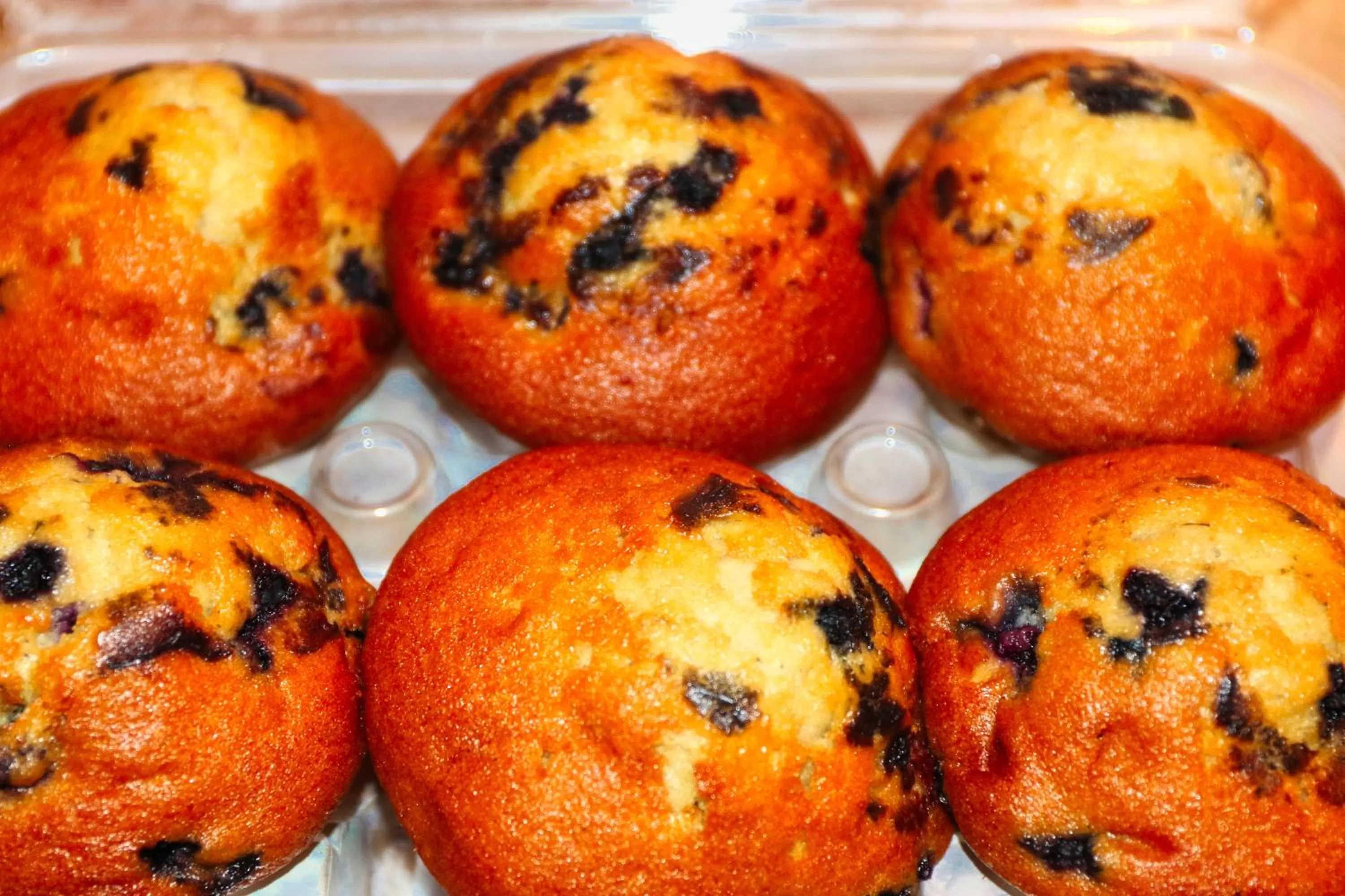 Breakfast in Auberge Motel 4 Saisons