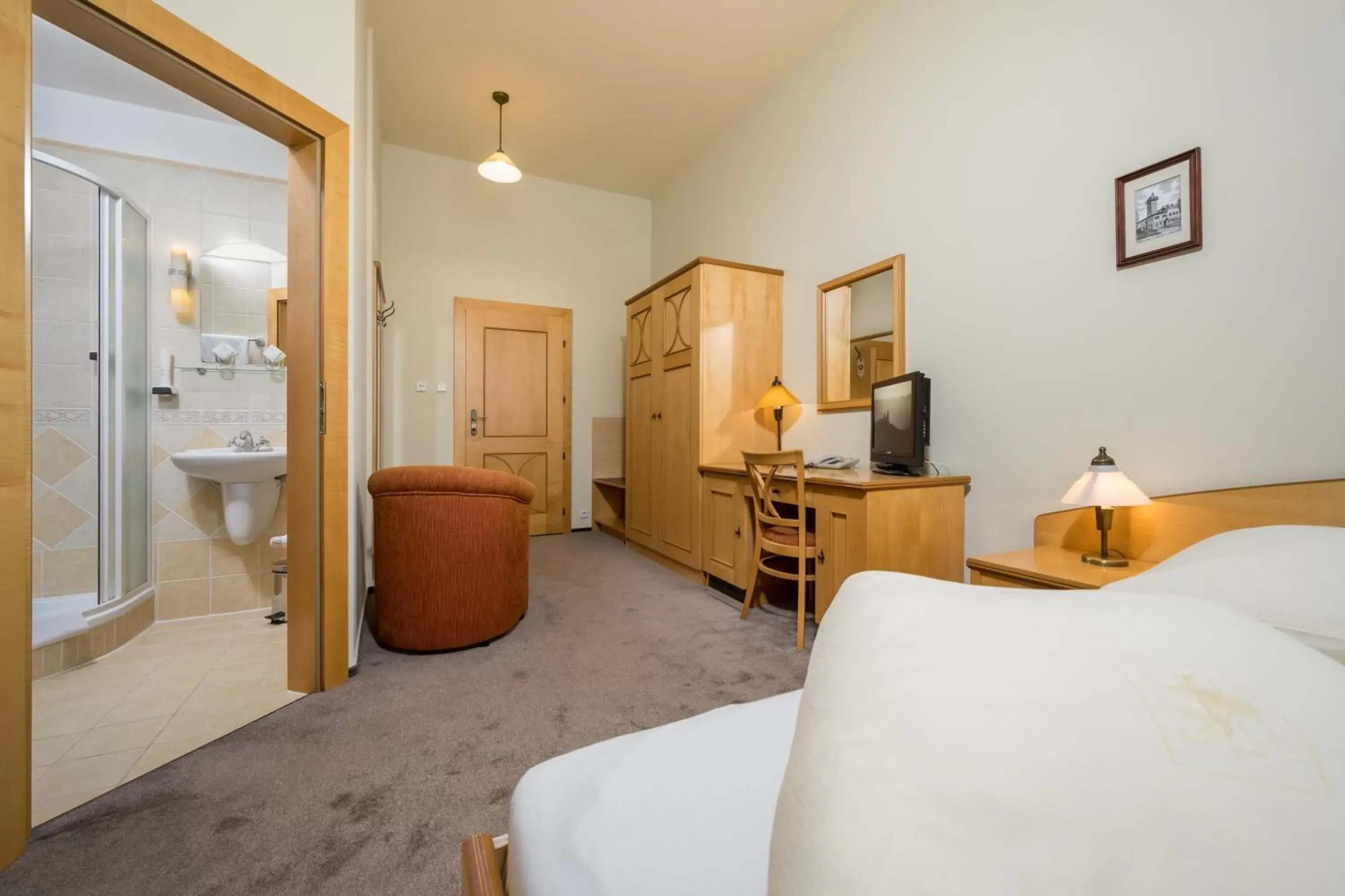 Economy Twin Room - single occupancy in Hotel Zlaty Lev Economy Twin Room - single occupancy in Hotel Zlaty Lev