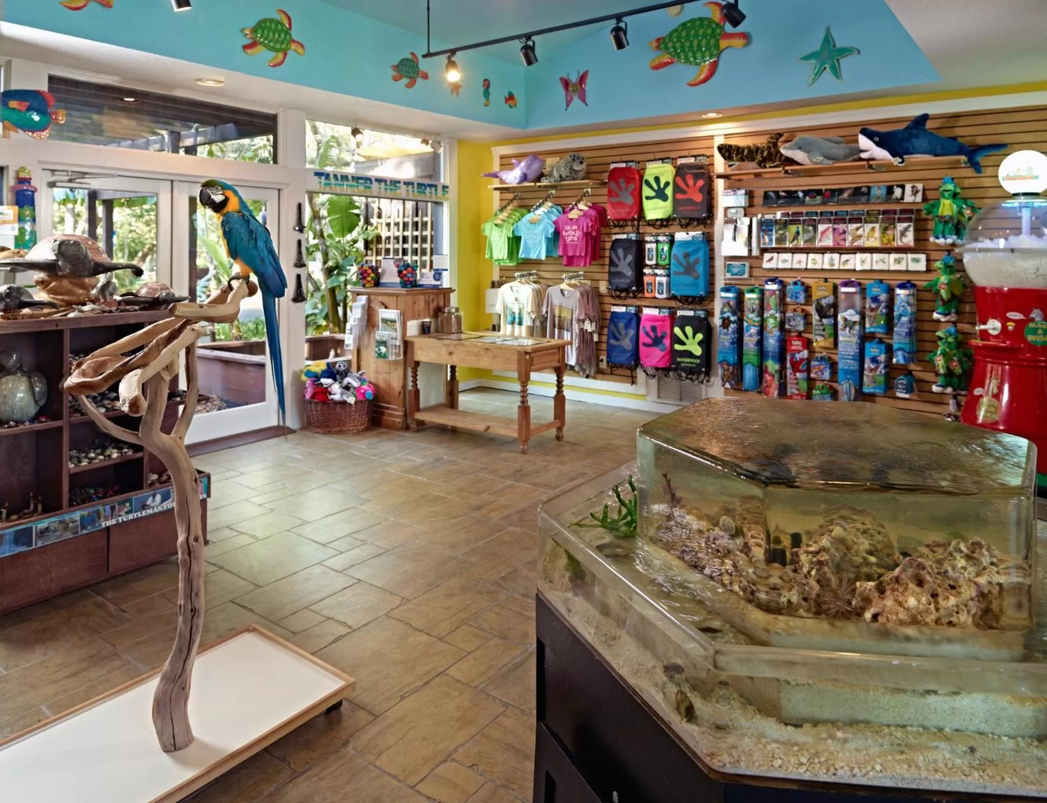 Other in Omni Amelia Island Resort & Spa