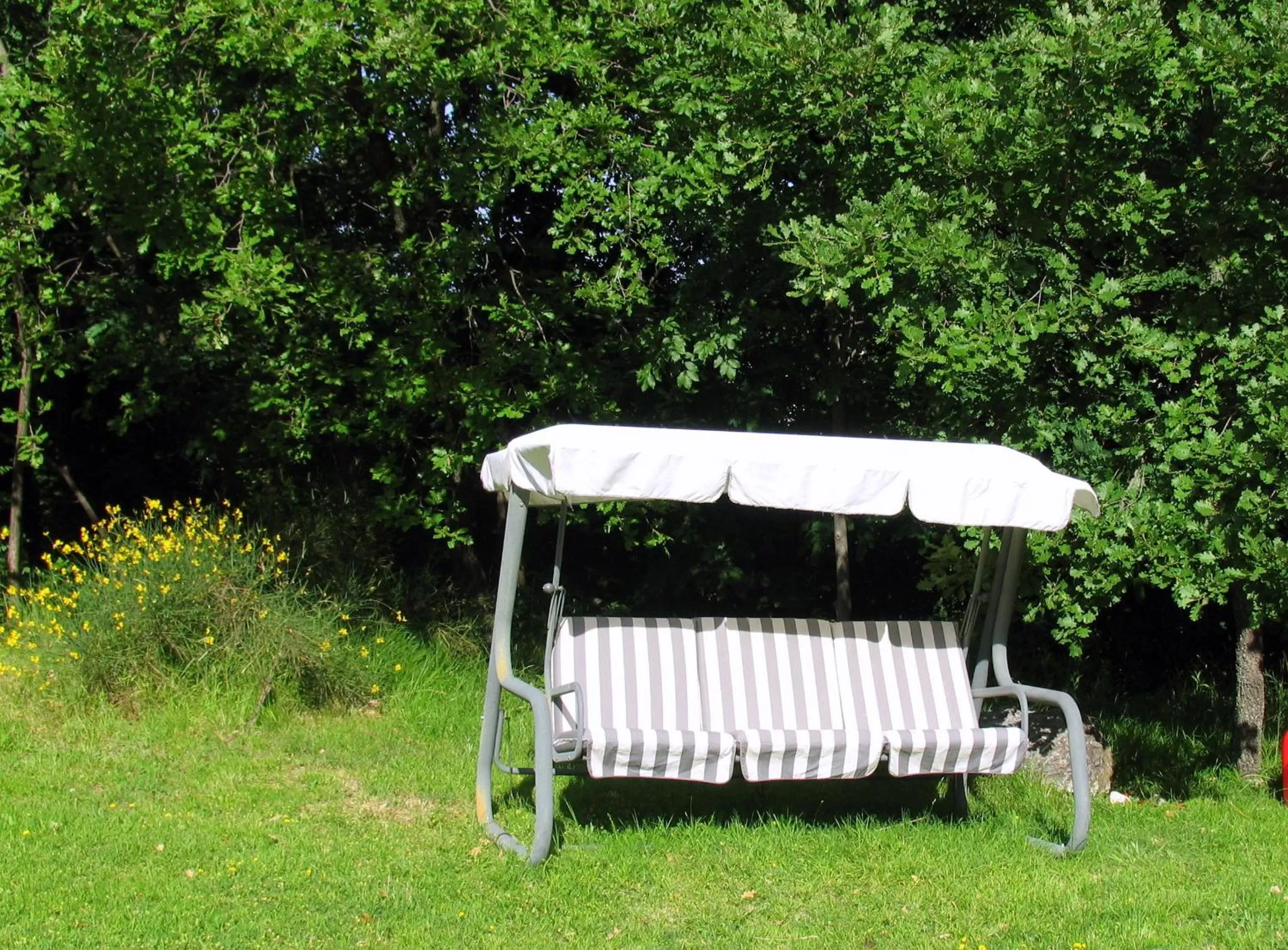 Garden in La Casa Dei Boschi