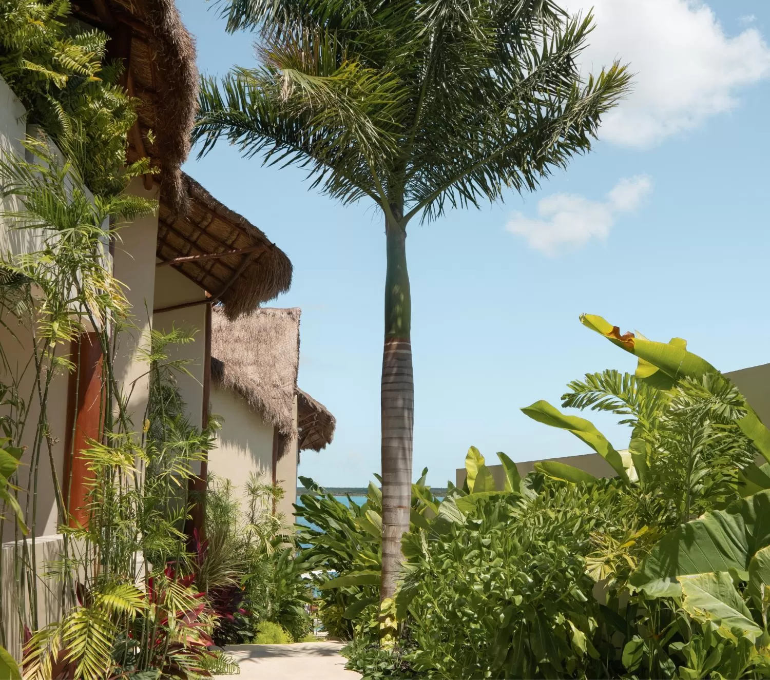 Garden view in Puerta del Cielo Hotel Origen