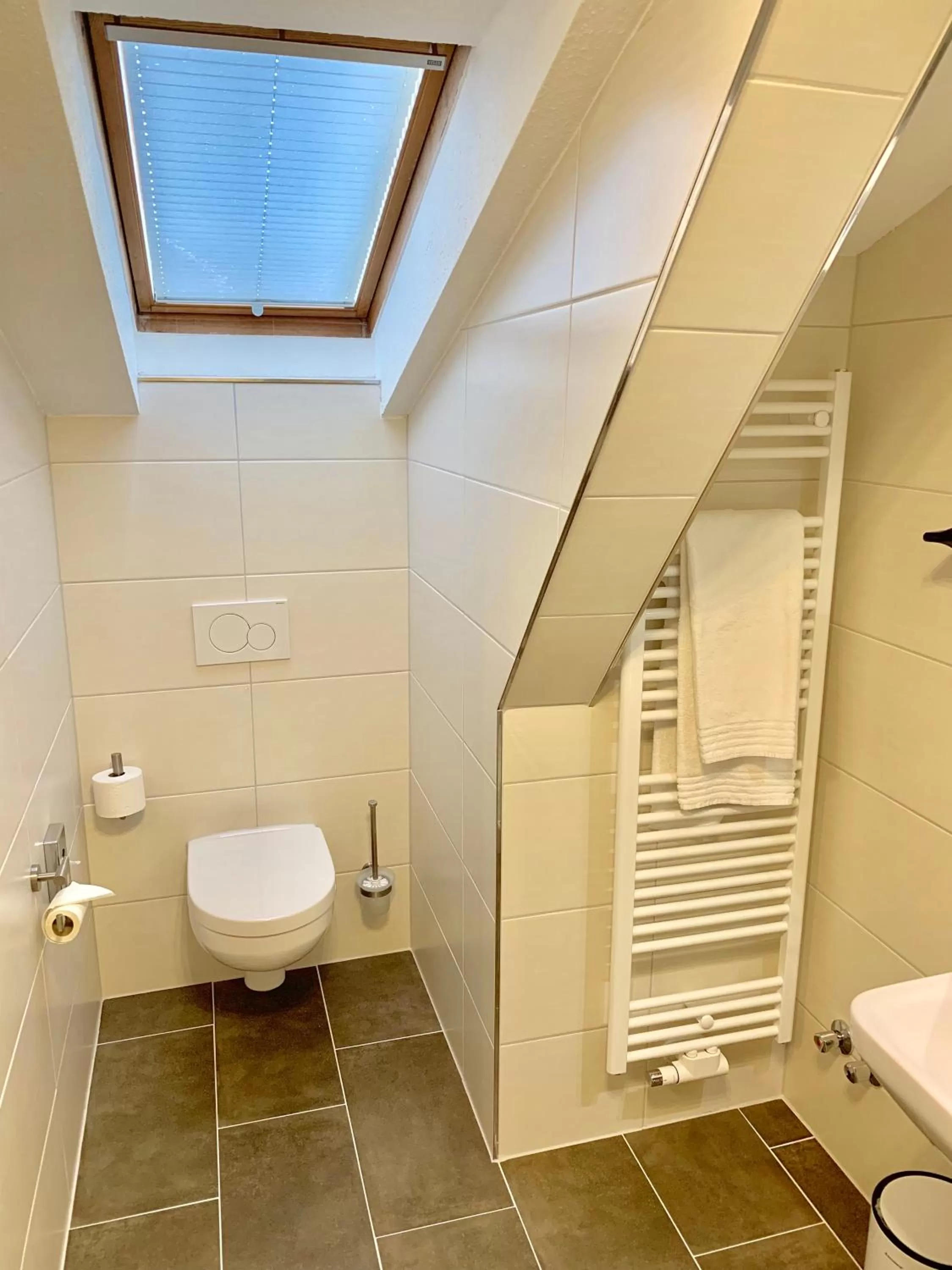 Shower in Hotel Waldhalle