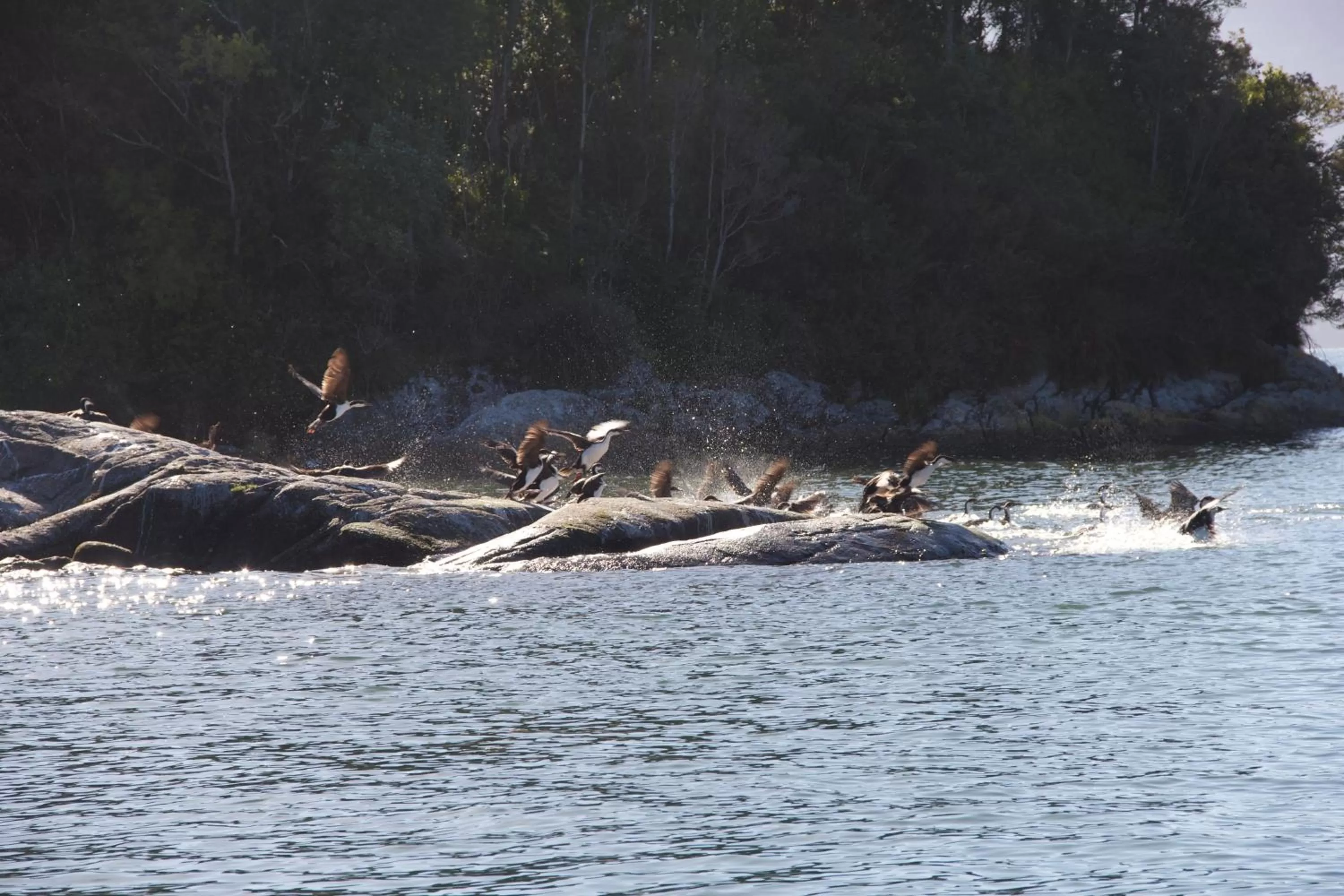 Other in Posada Queulat