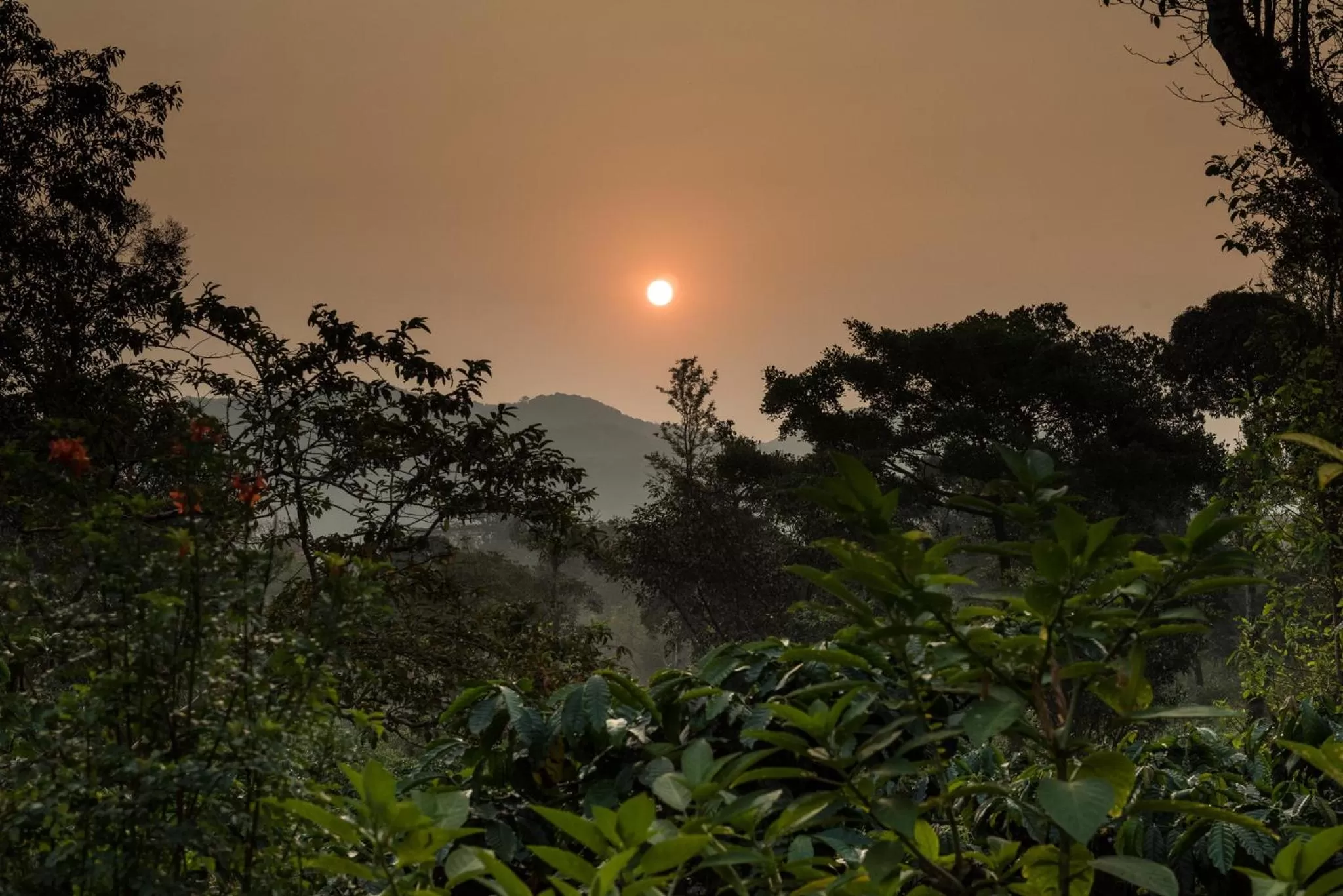 Hiking in Magnolia Estates & Resorts