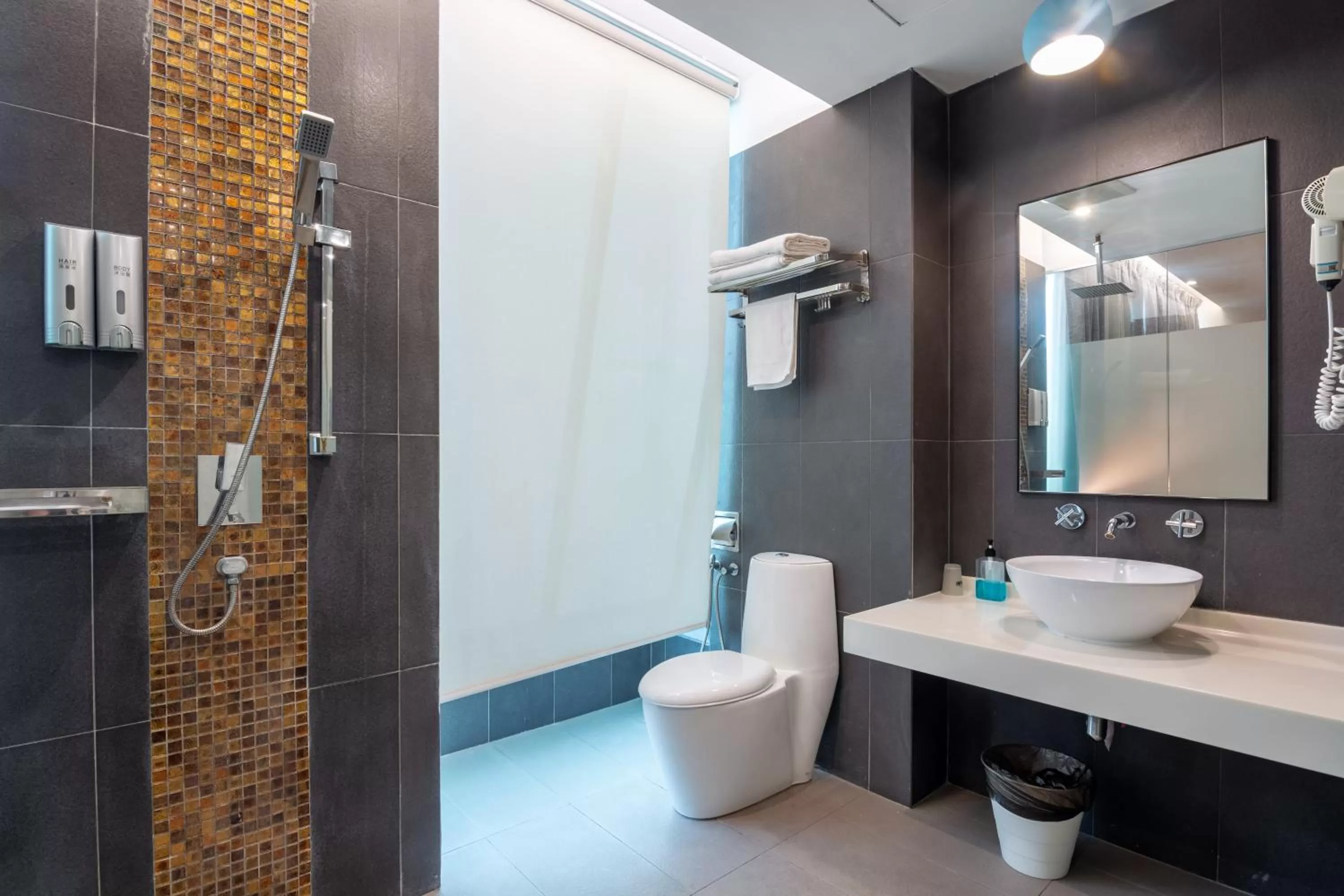 Shower in Apple Hotel Times Square