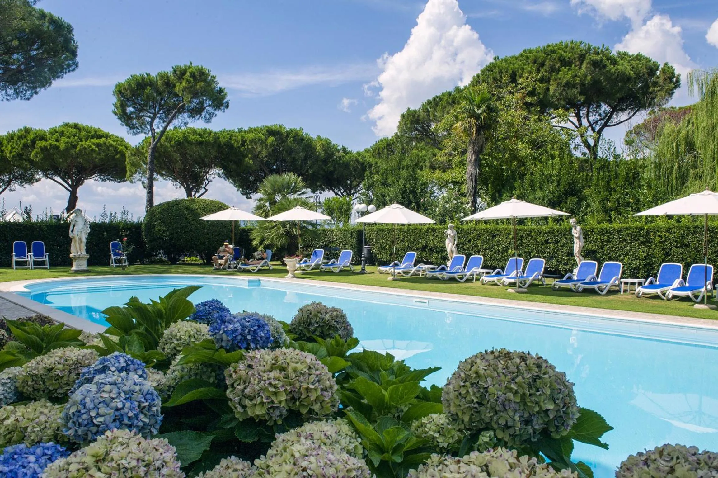 Summer in Hotel Royal