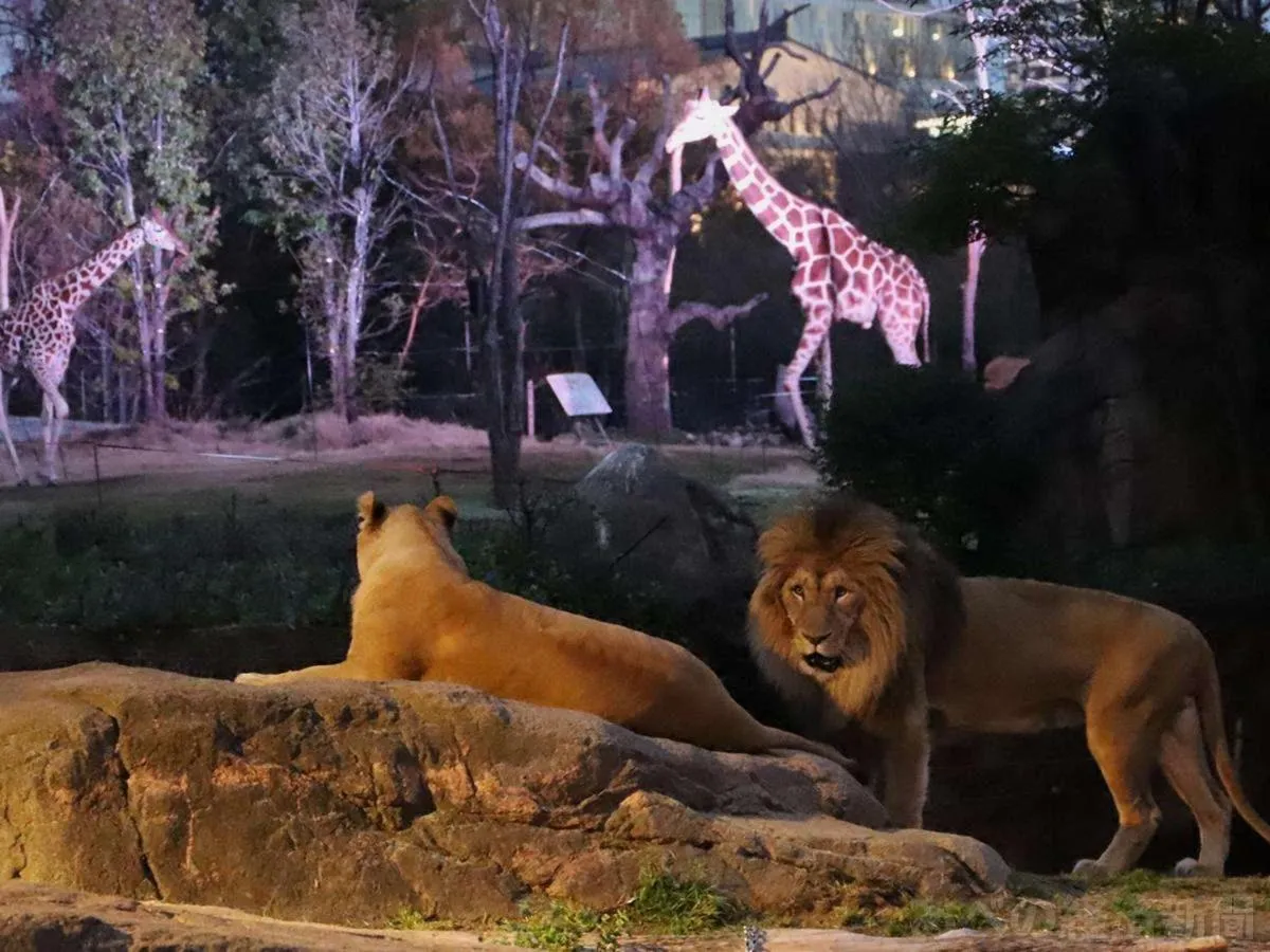 Nearby landmark in HOTEL HILLARYS Shinsaibashi