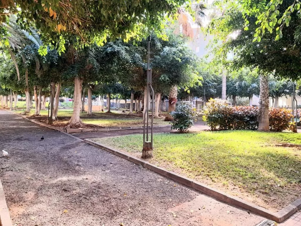 Garden in Alfa Omega (VALLE-LUZ)