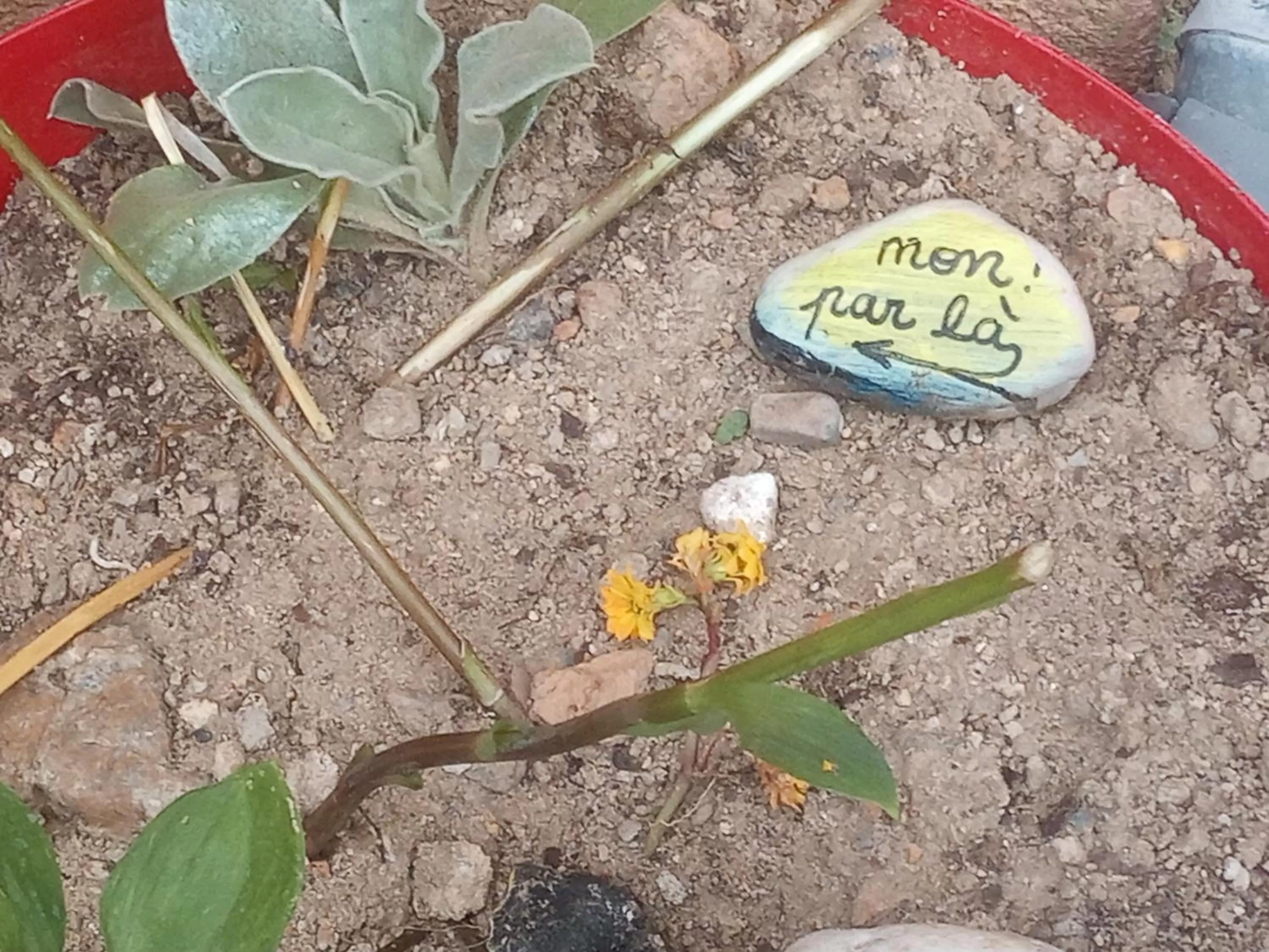 Garden view in La lauze et l'anguille