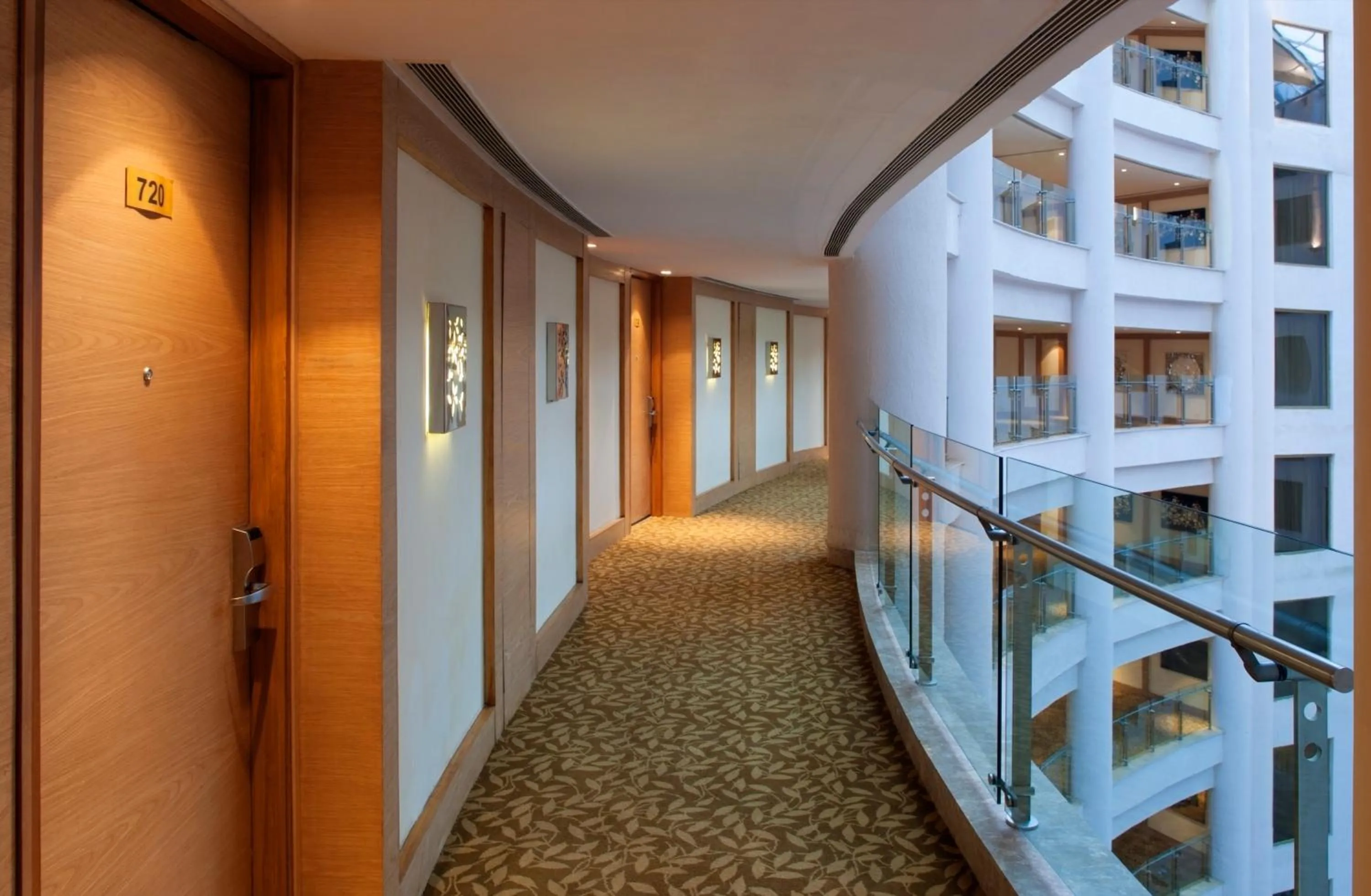 Decorative detail in Radisson Blu Hotel New Delhi Dwarka