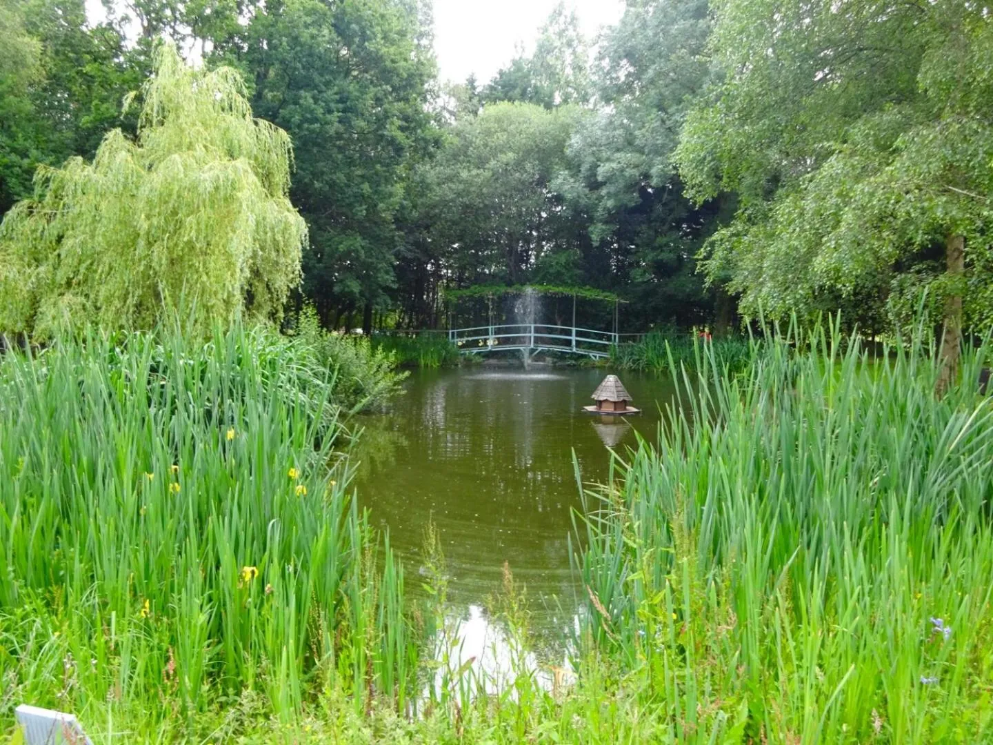 Garden in Passford House Hotel
