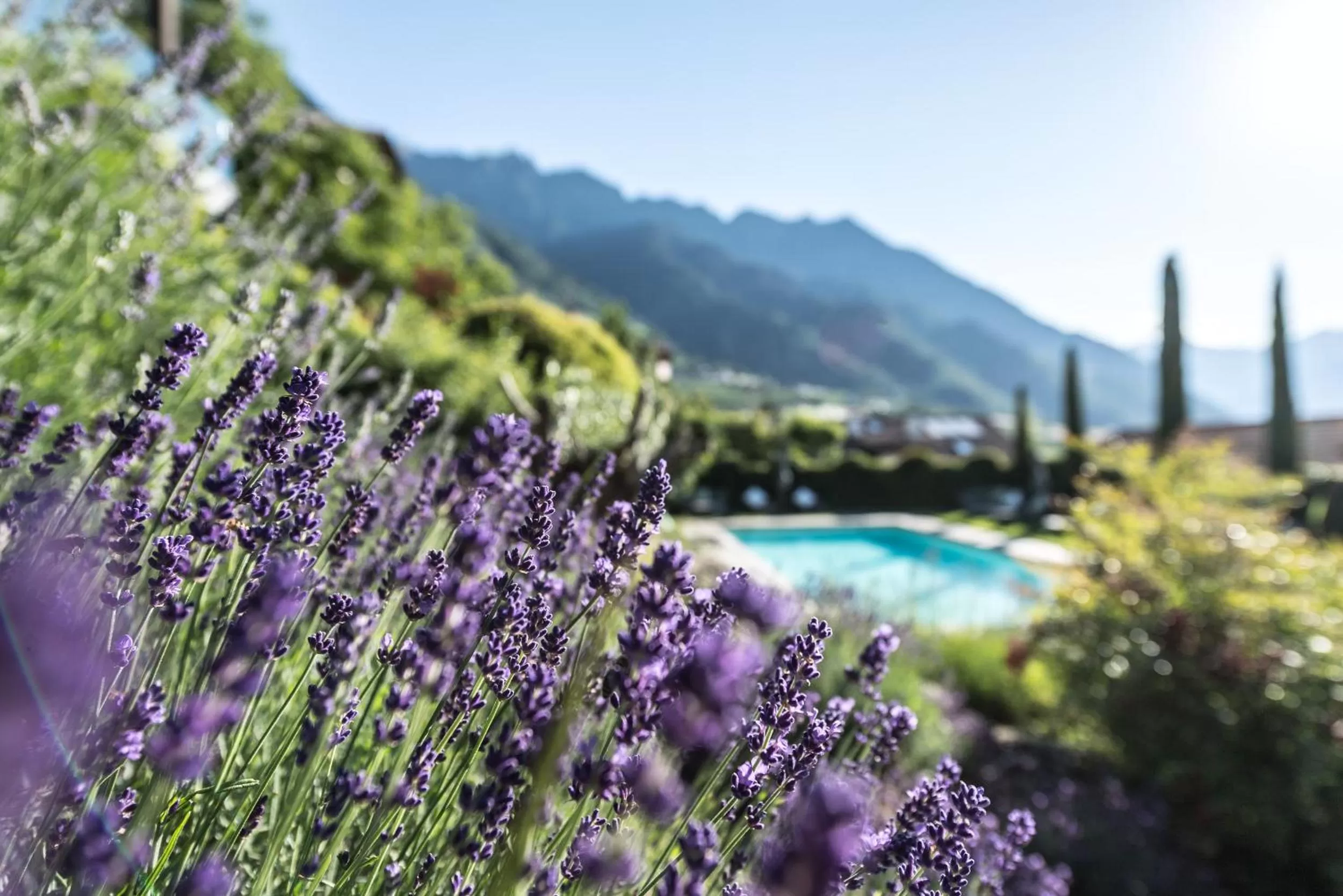 Natural landscape, Swimming Pool in Mair Am Ort Living Hotel B&B