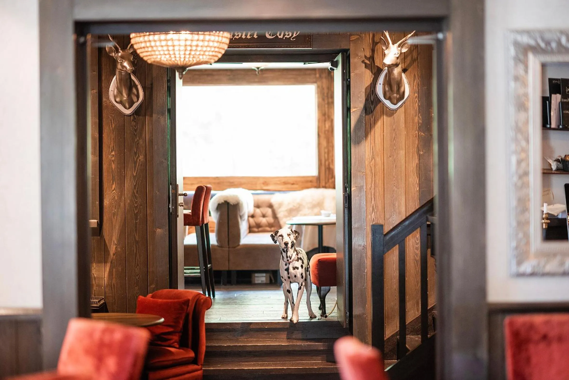 Lobby or reception in Hotel Le Castel