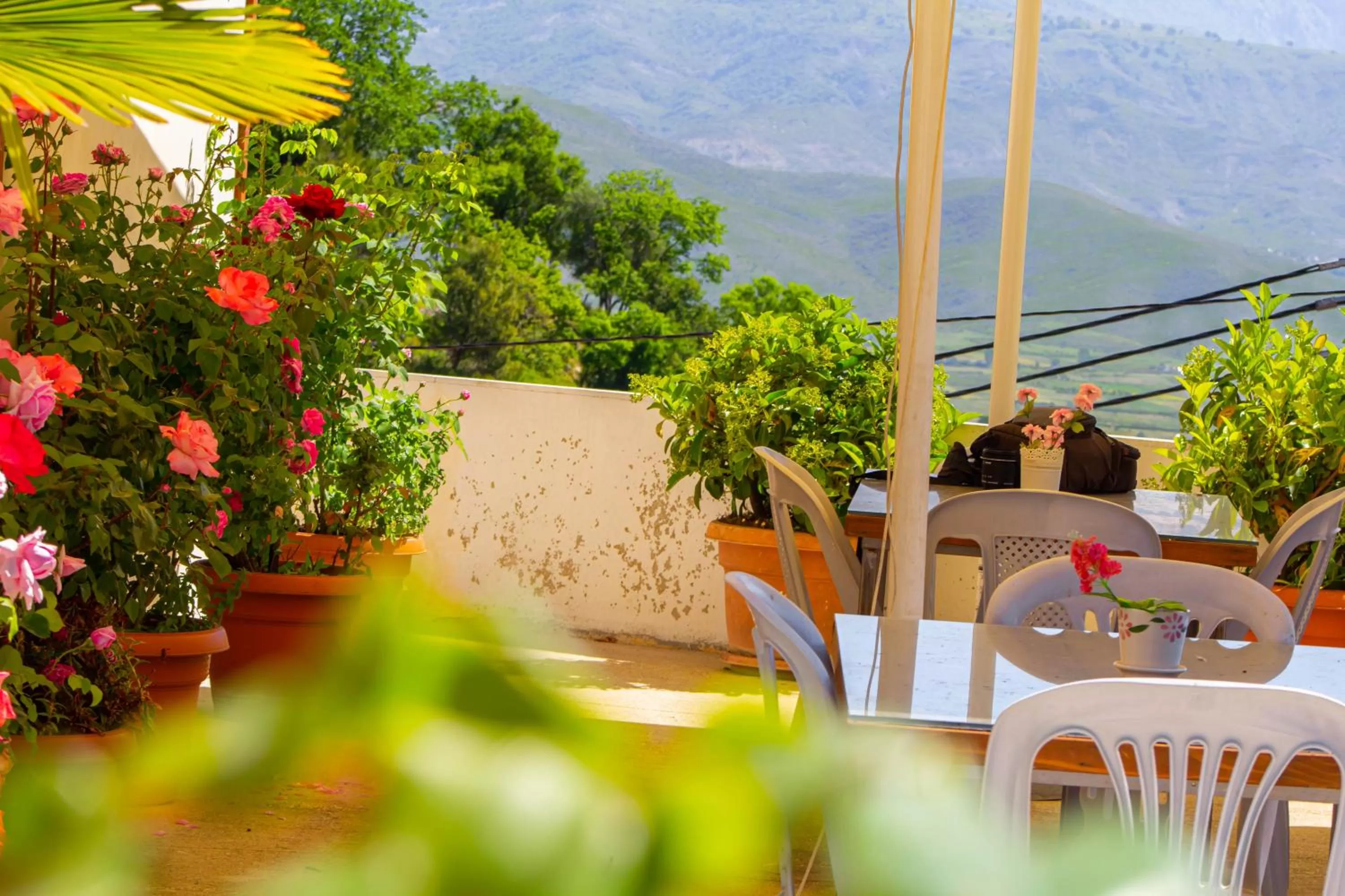 Hotel Bebej Tradicional