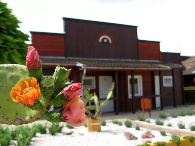 Property building in Convoy Panzió