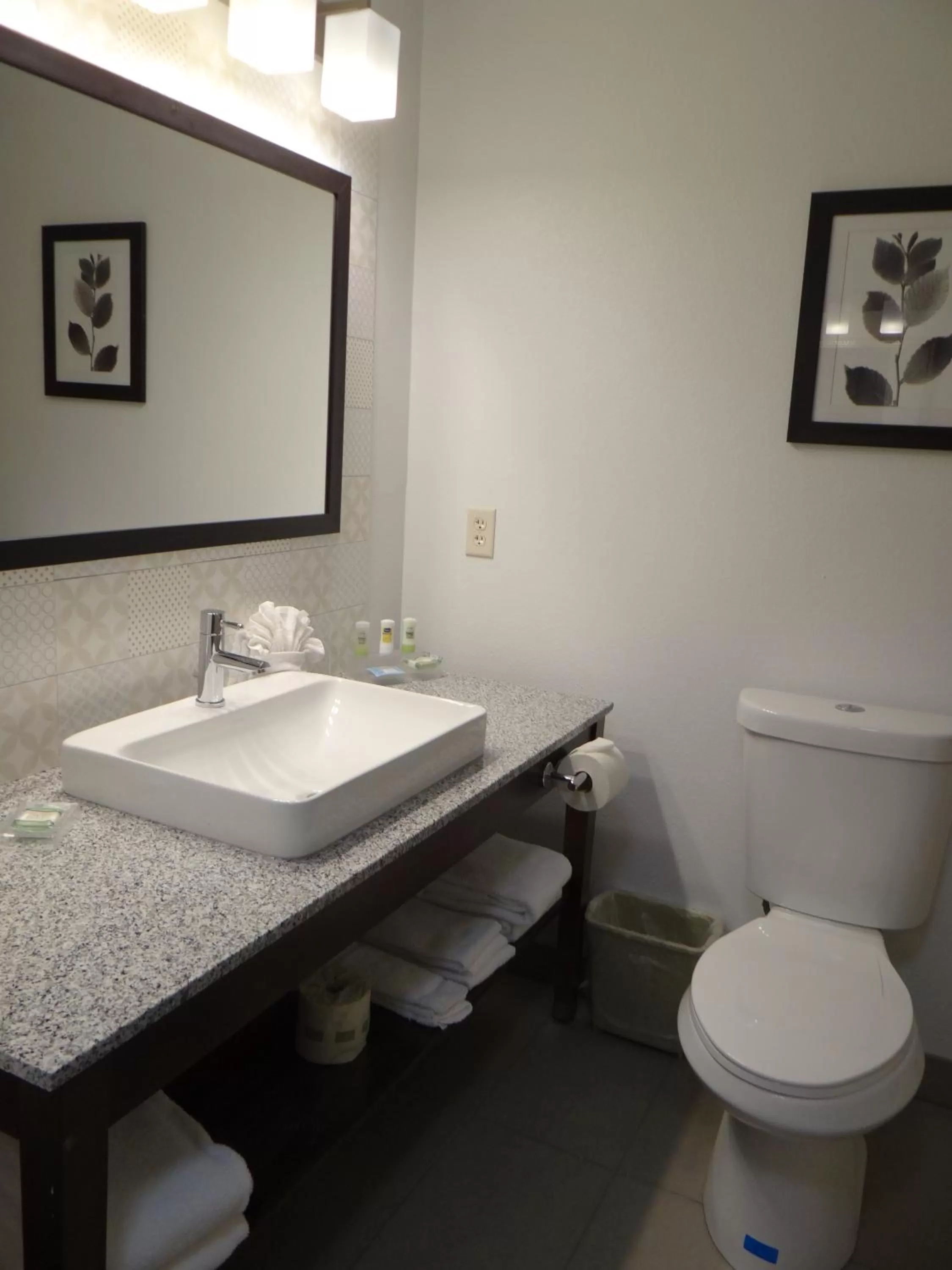 King Studio - Non-Smoking in Country Inn & Suites by Radisson, Salisbury, MD