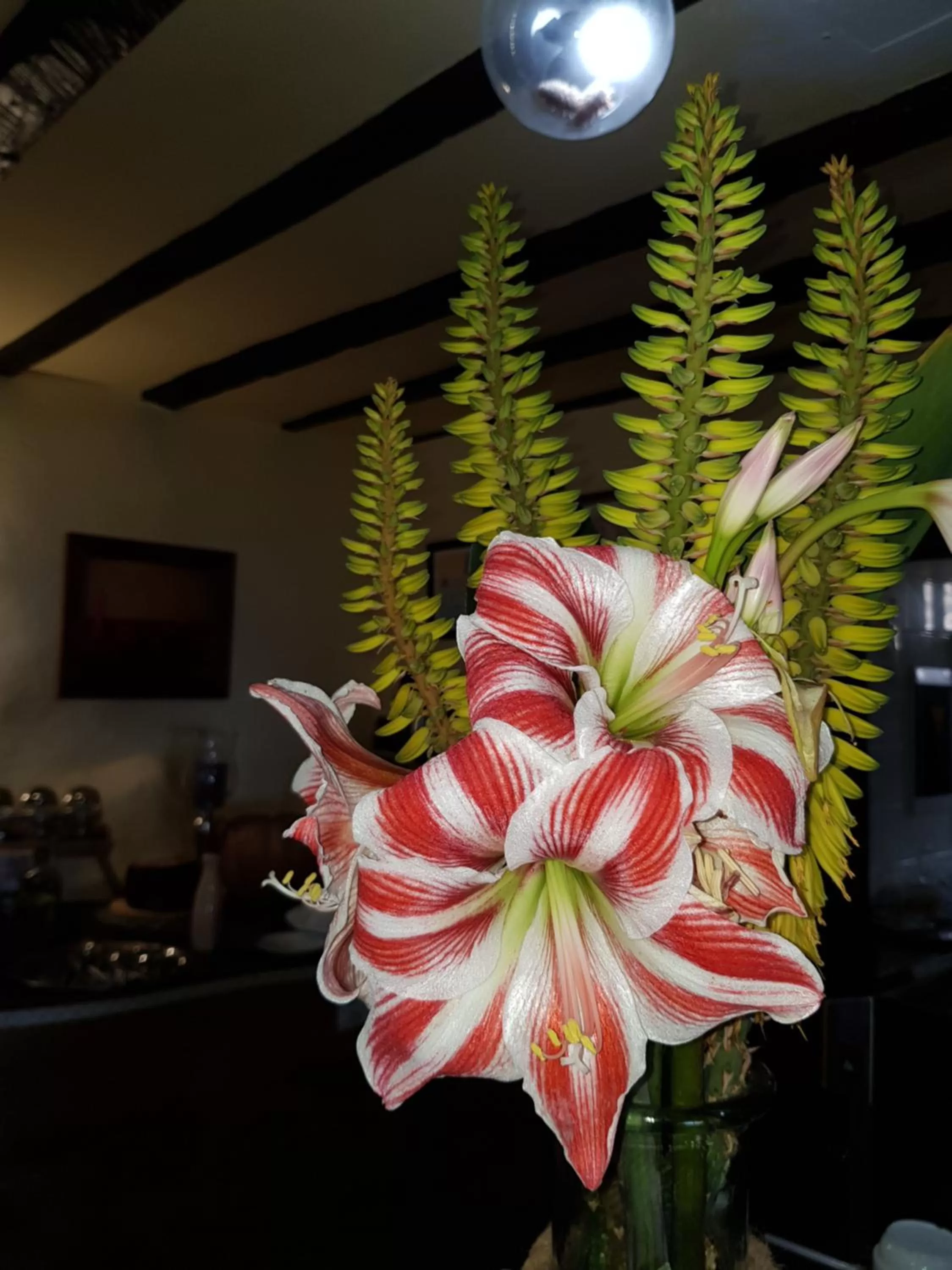 Restaurant/places to eat in Hotel Rural La Raya 1866