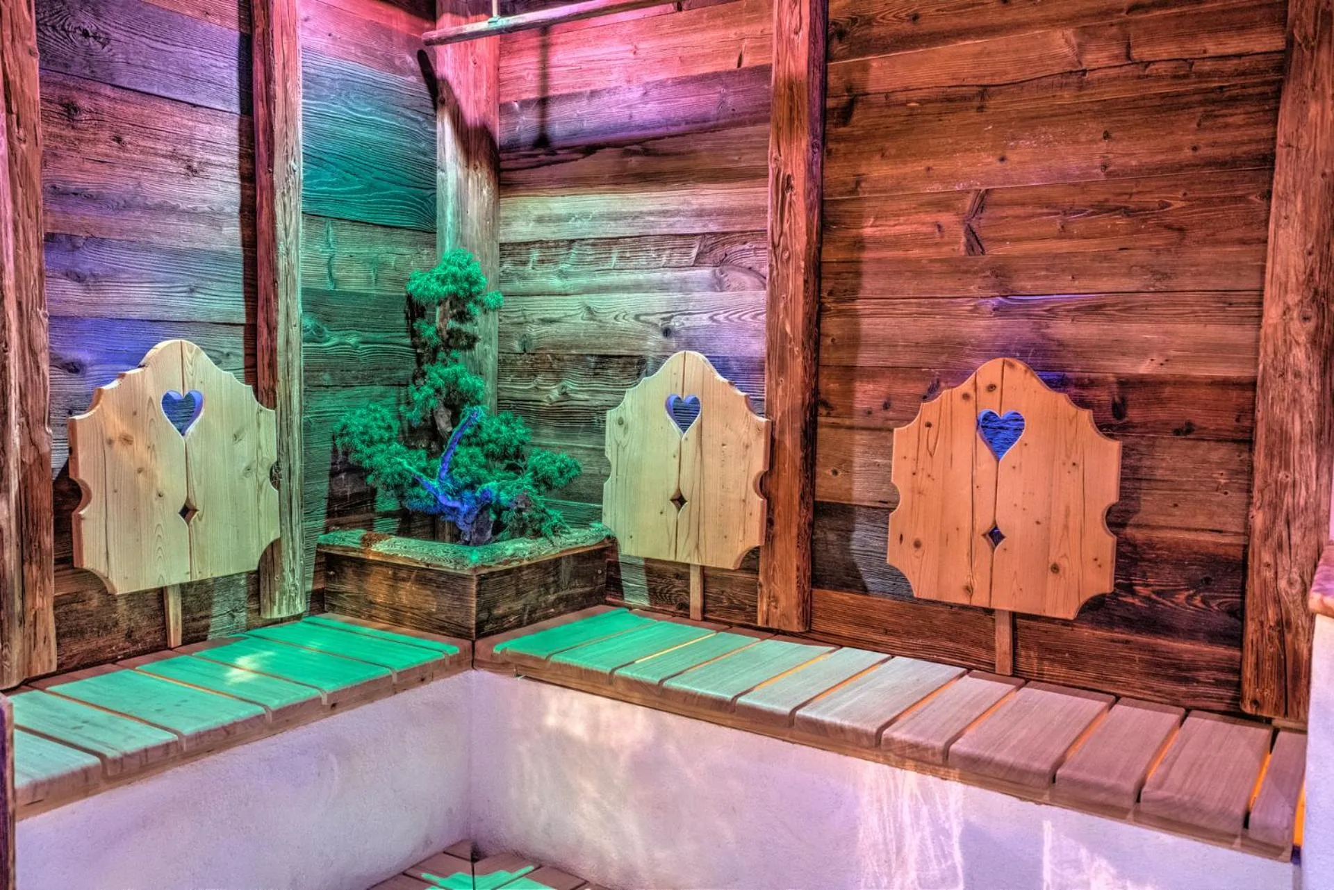 Sauna in Alpenbad Hotel Hohenhaus