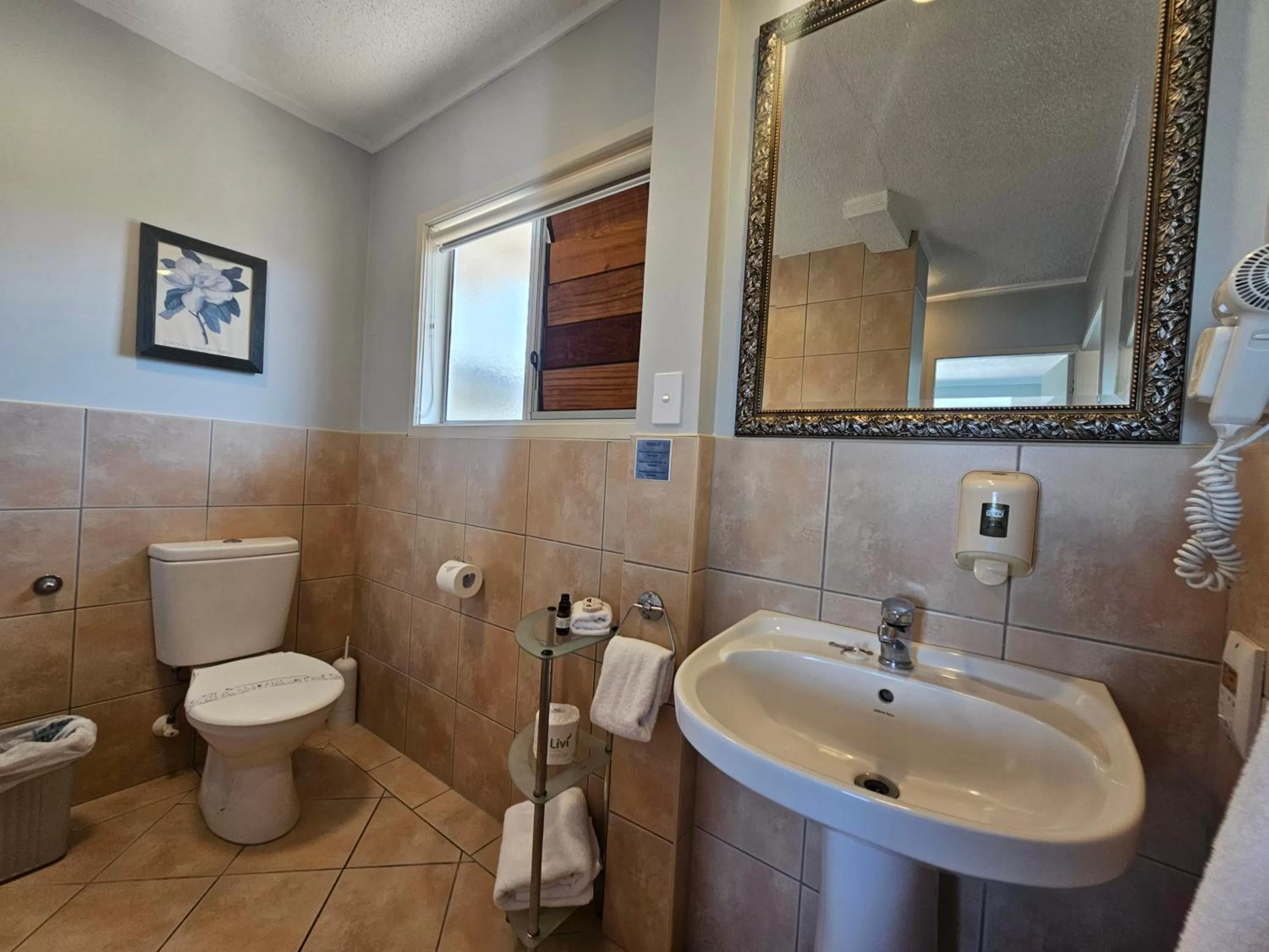 Shower in Tui Oaks Motel