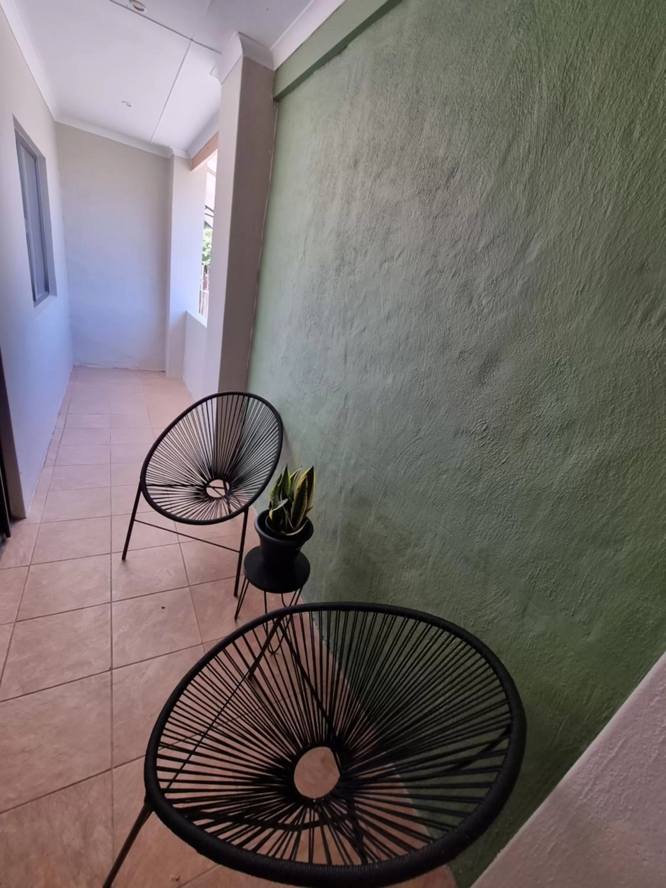 Patio in Pro Plants Accommodation