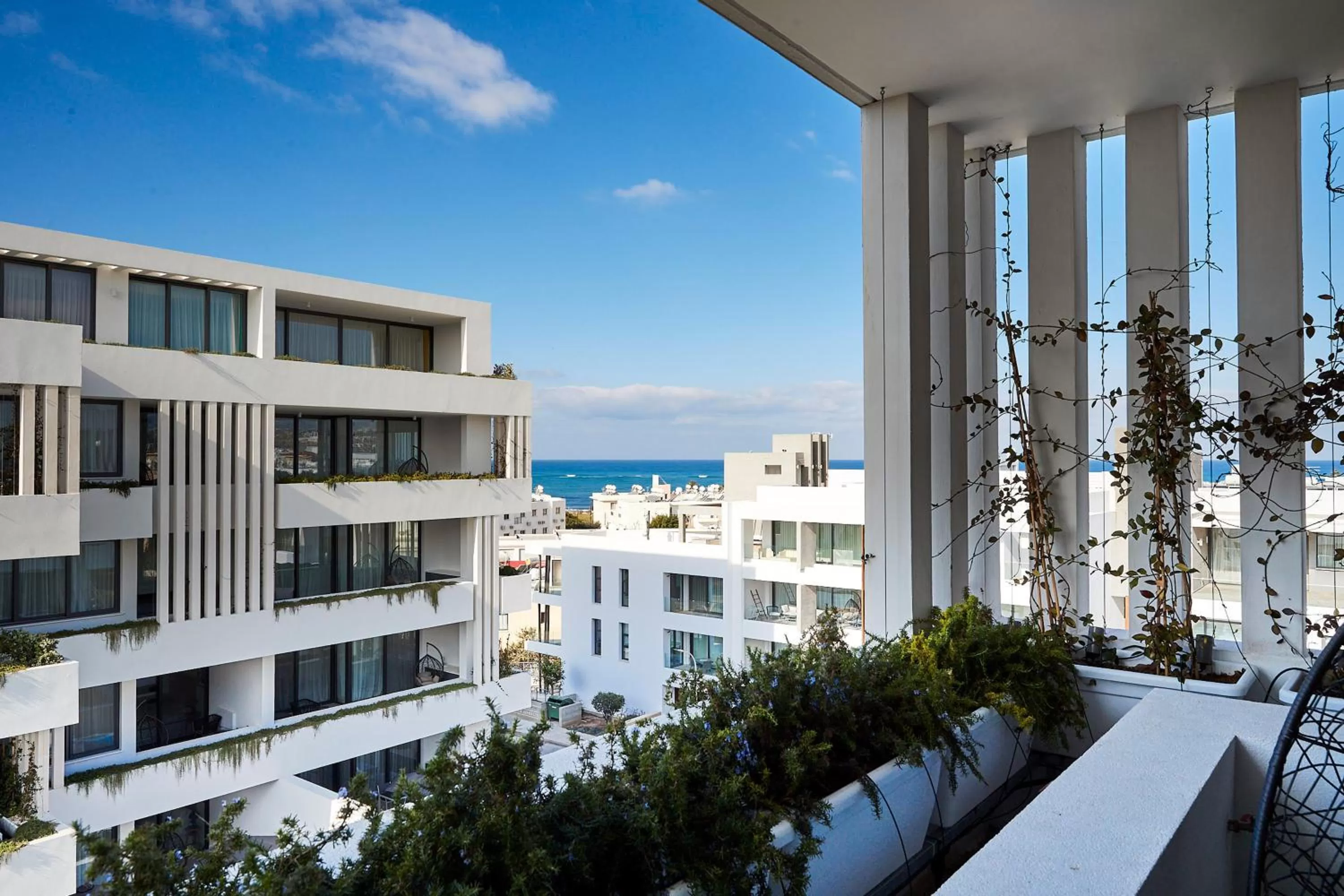 Property building in Downtown Park