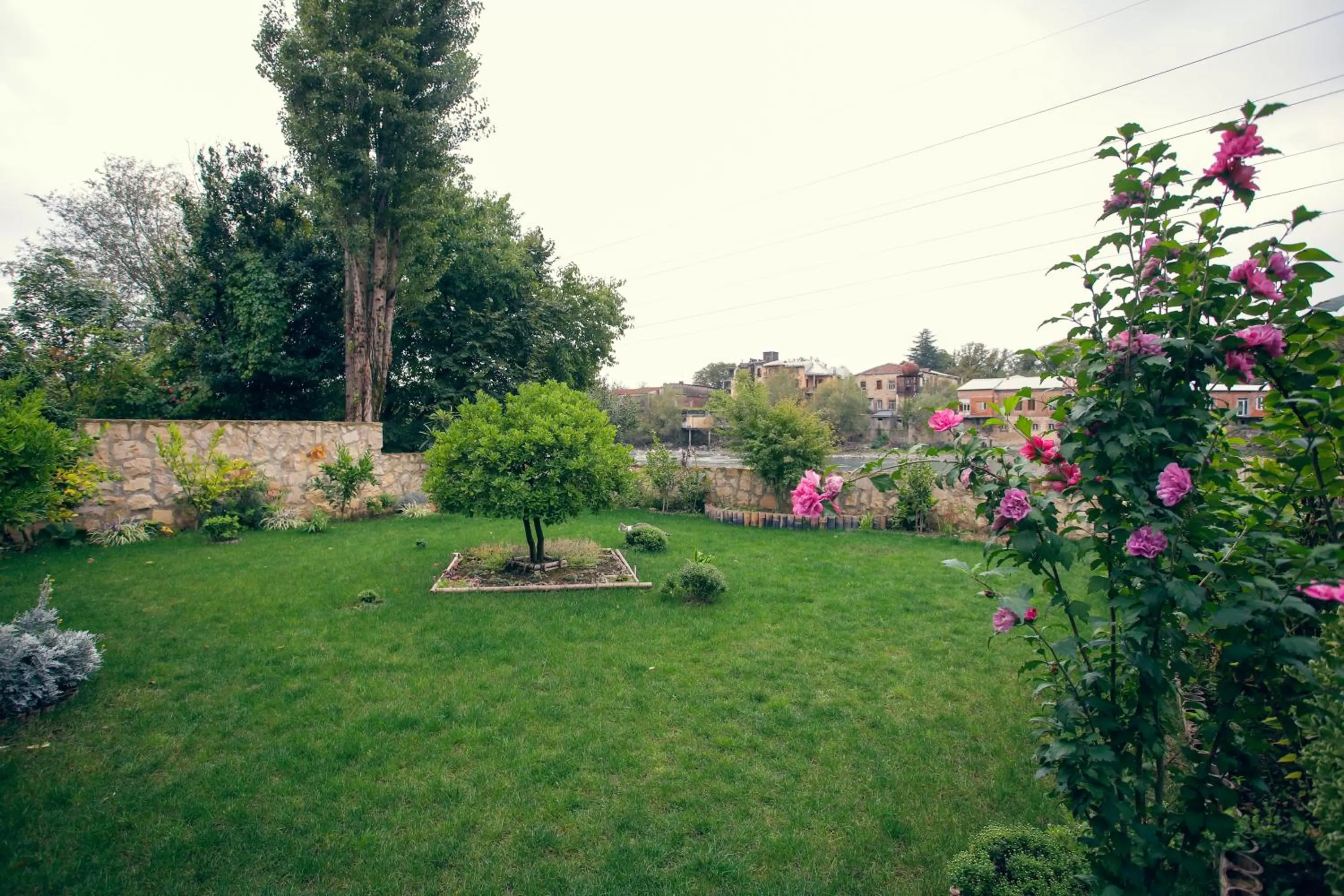 Garden in Hotel Paradise Road