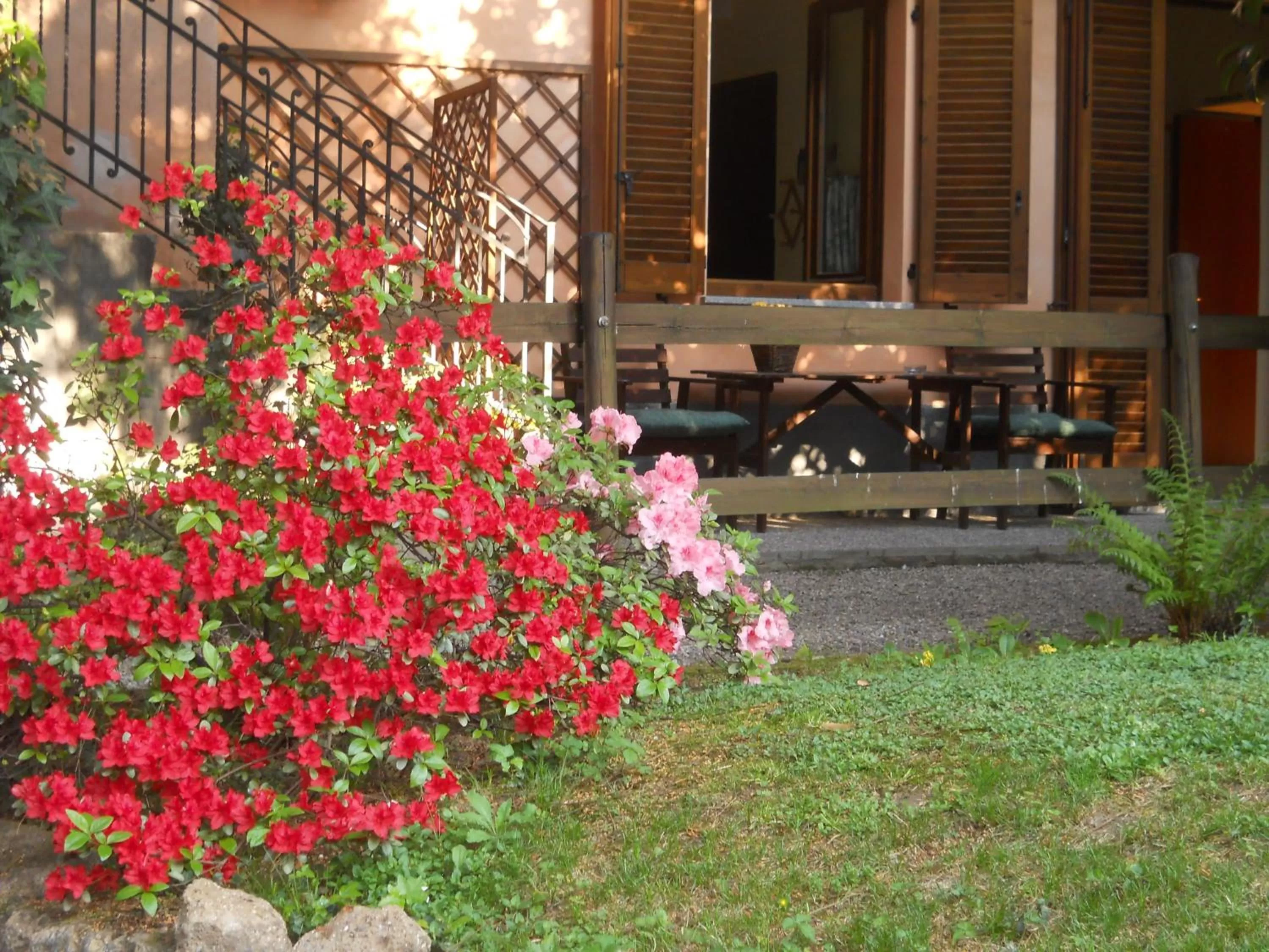 Other in B&B il Cortile Malpensa