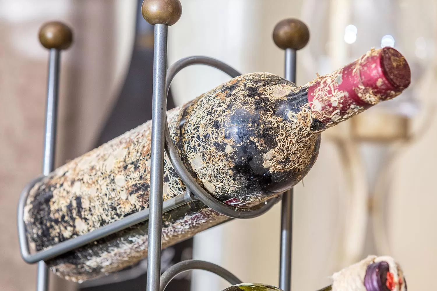 Restaurant/places to eat in Hotel Baja Romantica