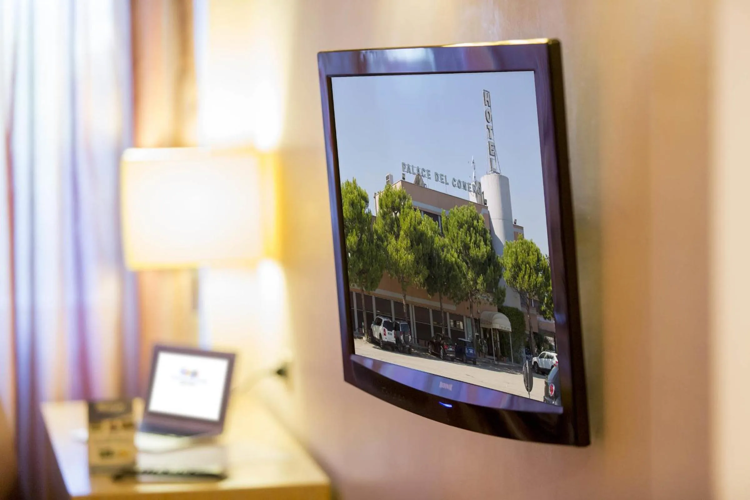 TV and multimedia in Hotel Palace del Conero