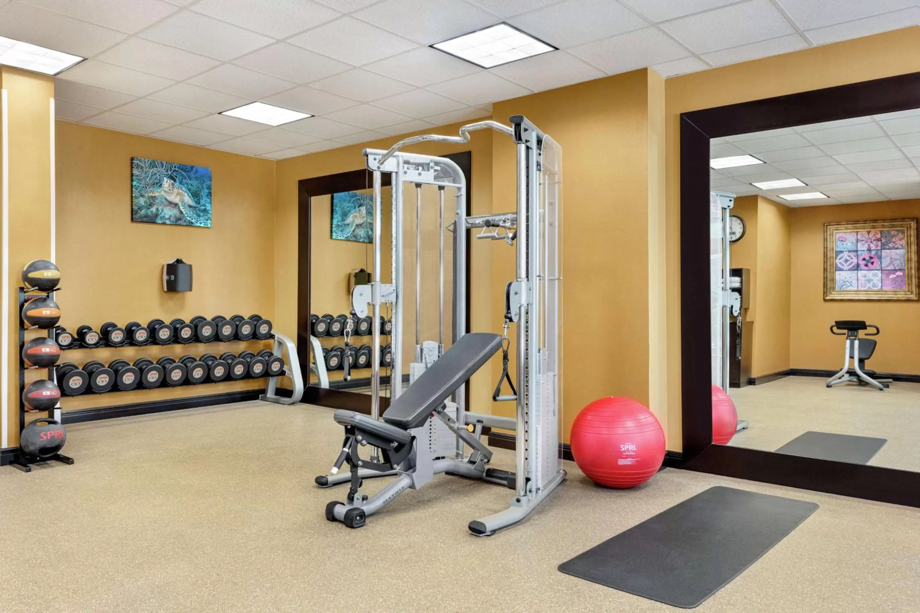 Fitness centre/facilities in Hilton Garden Inn South Padre Island Beachfront