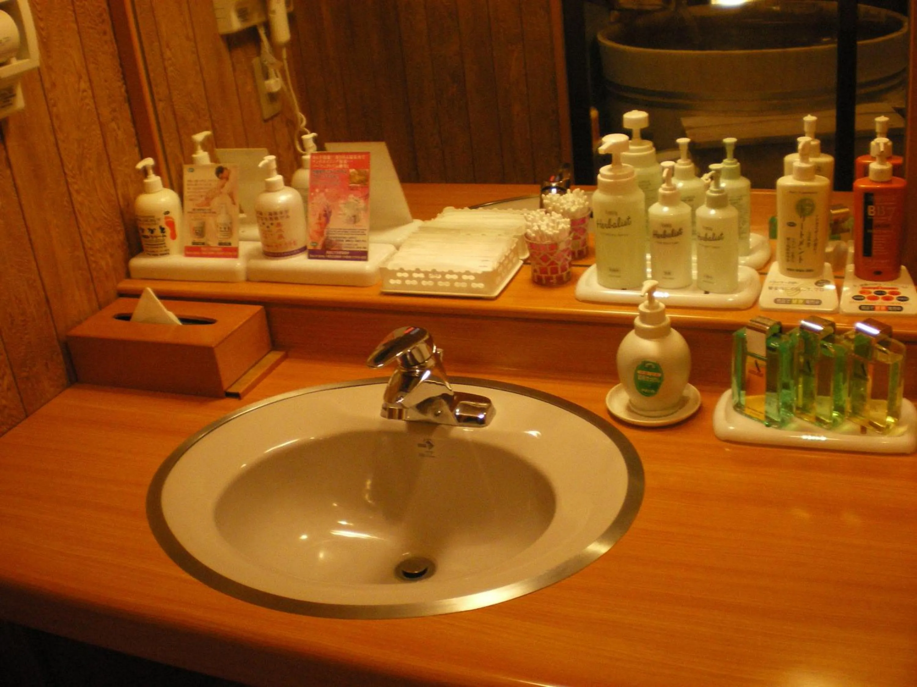 Hot Spring Bath in Kasuitei Ooya