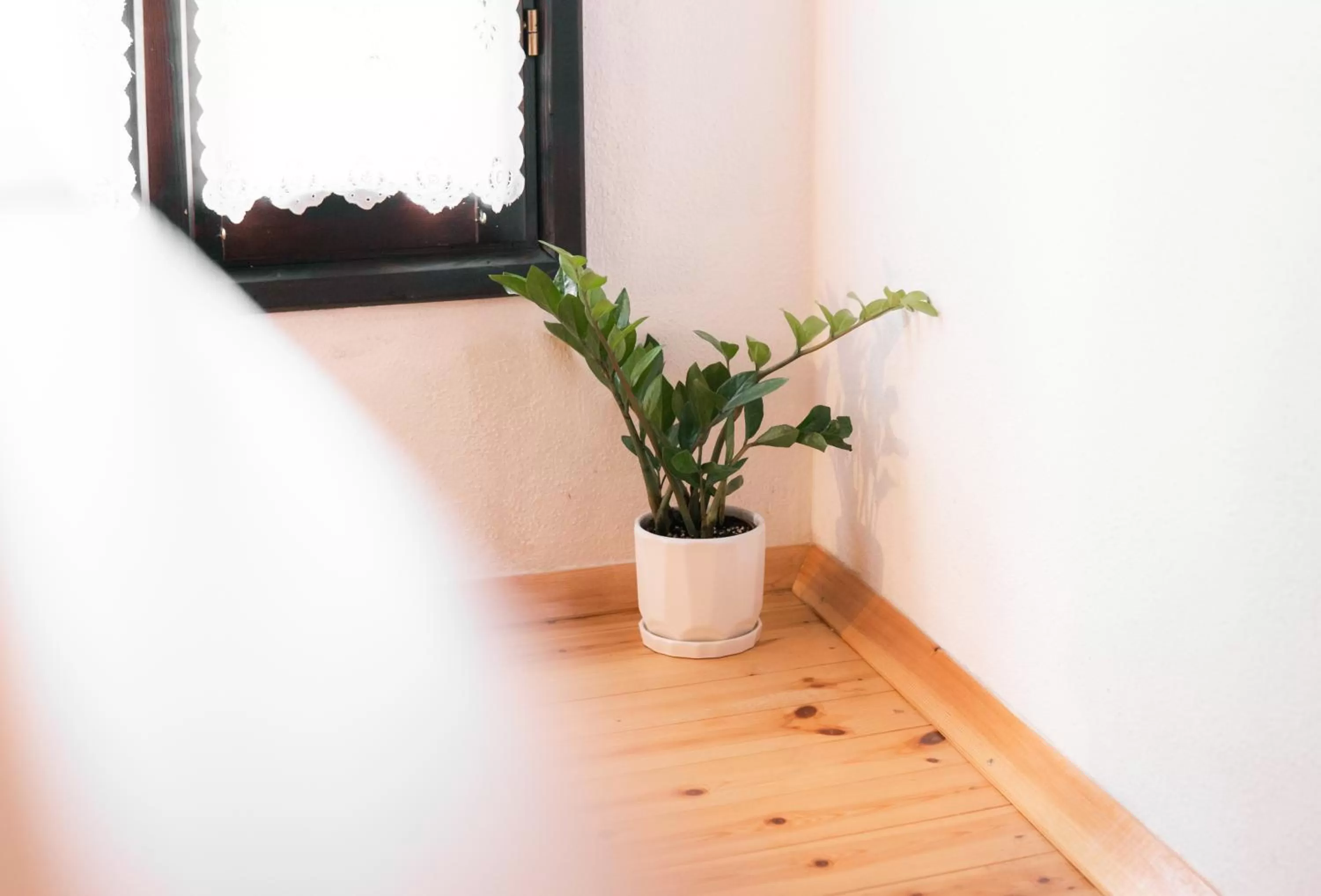 Decorative detail, TV/Entertainment Center in Porta7 Hotel