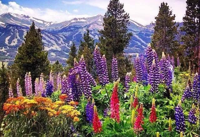 Day, Natural Landscape in Dillon Inn