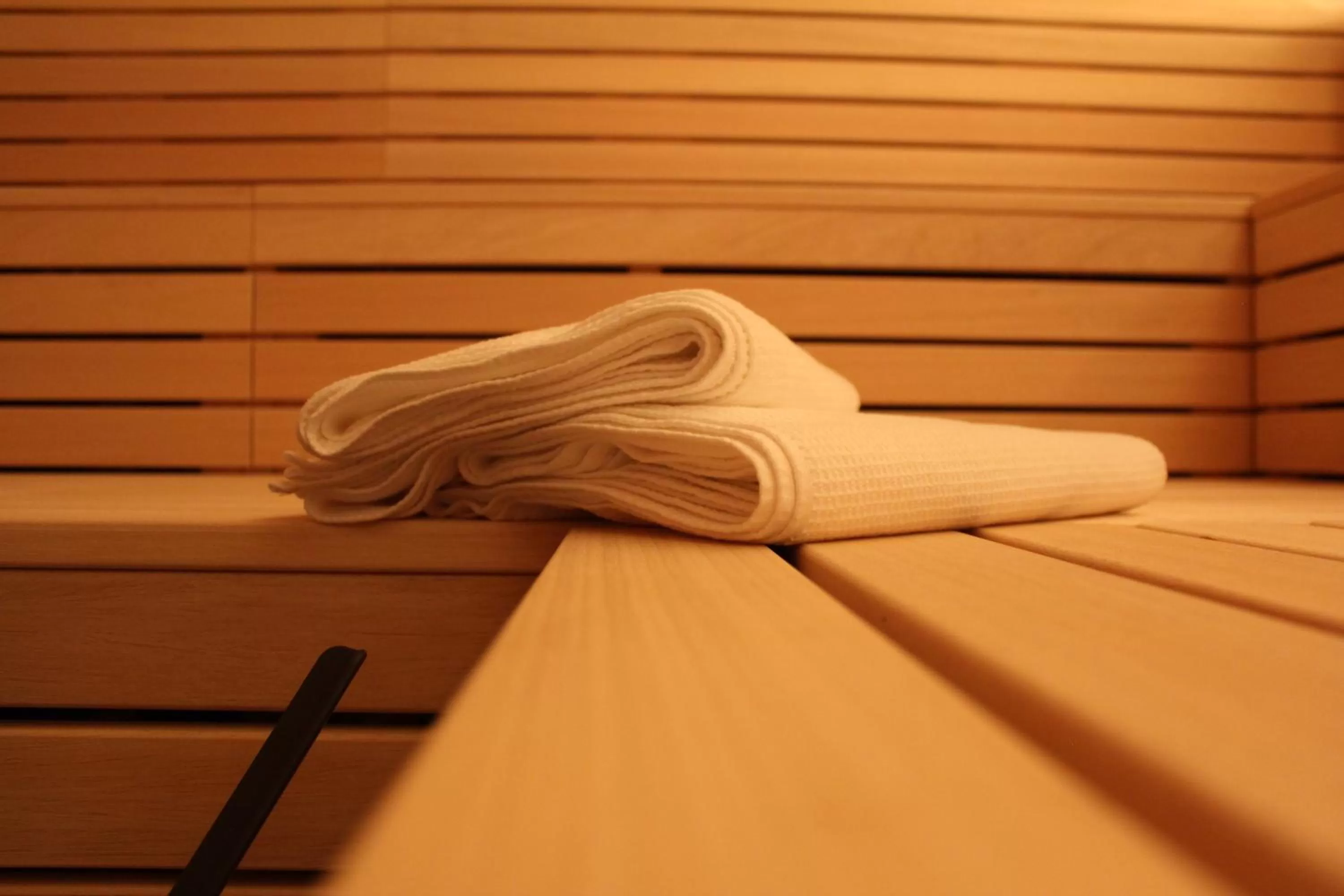 Sauna in lintharena ag