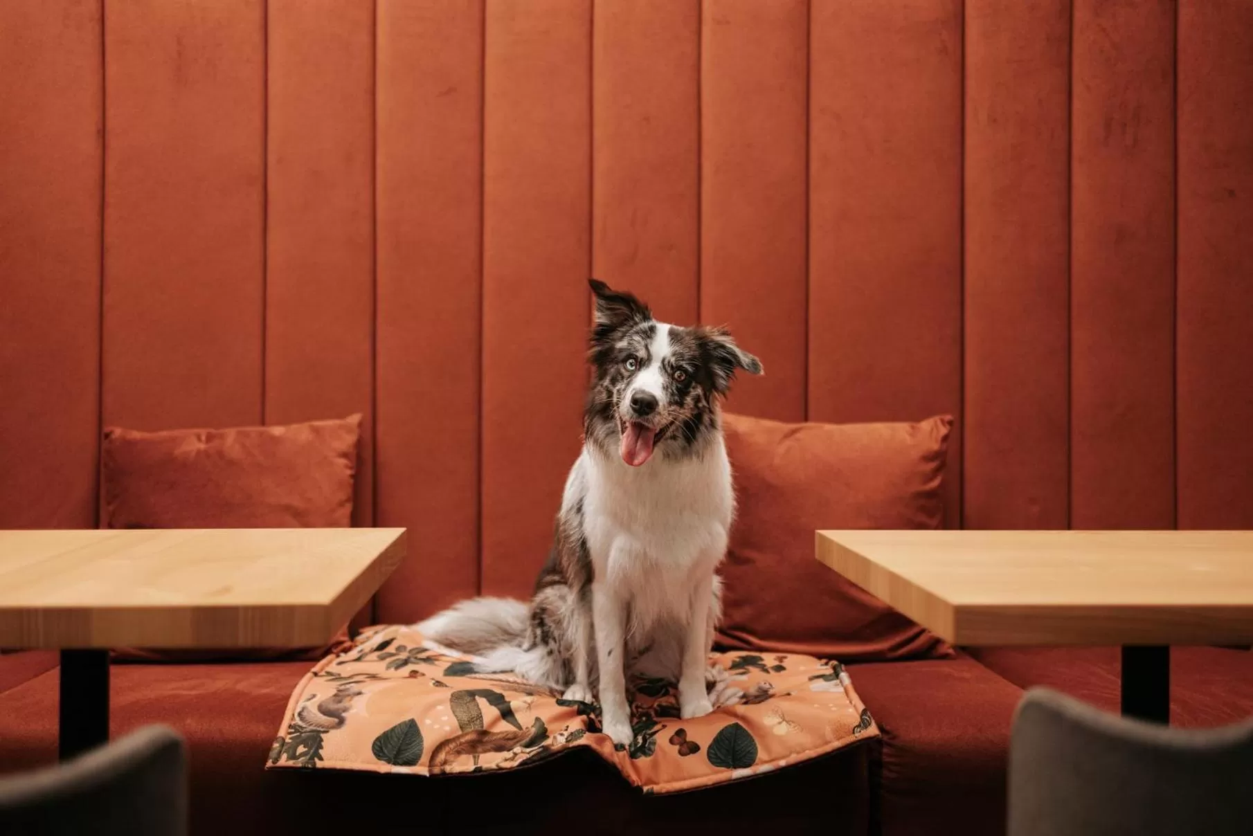 Animals in VISLOW Resort