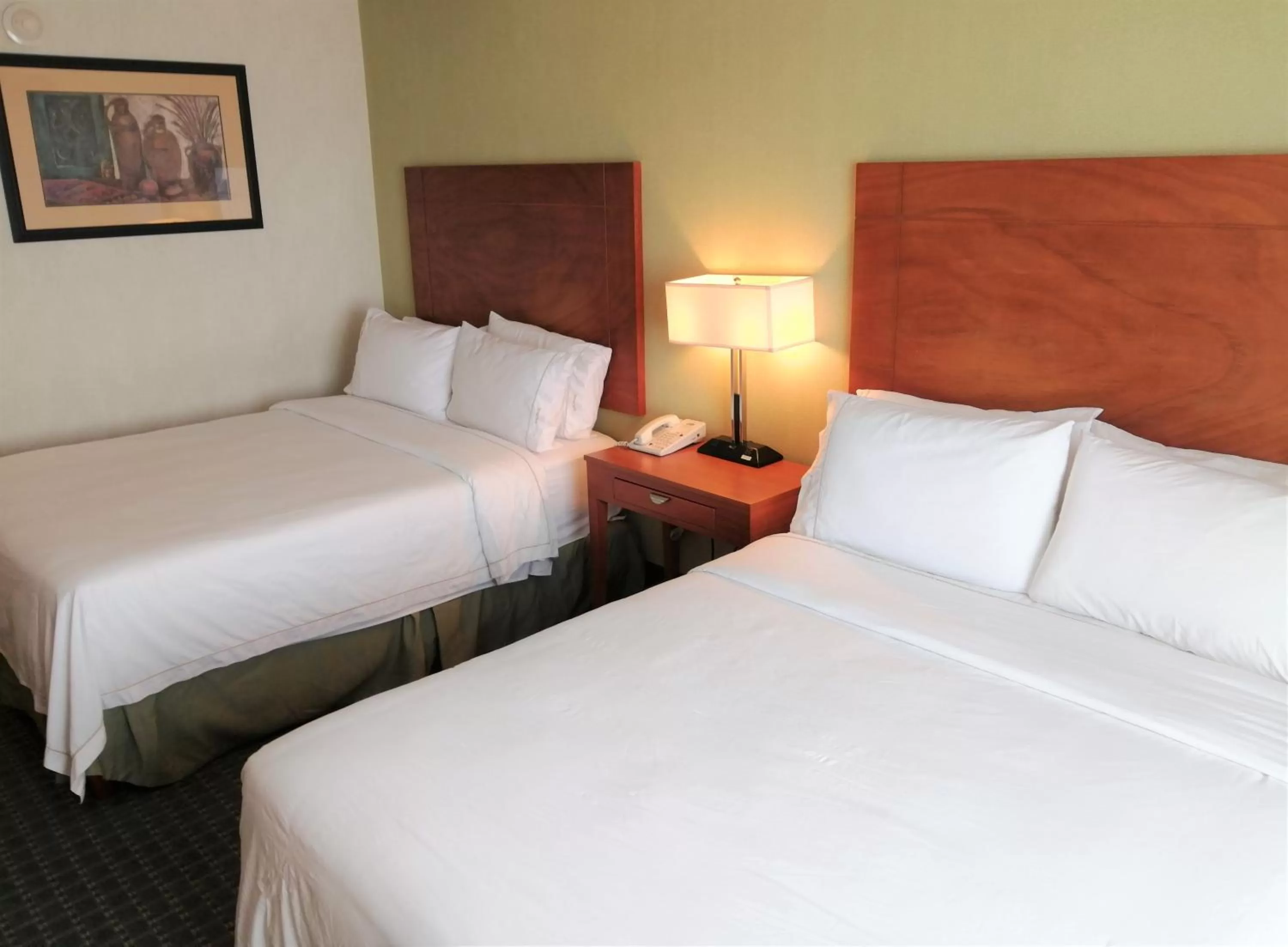 Bed in Holiday Inn Express & Suites Toluca Zona Aeropuerto by IHG