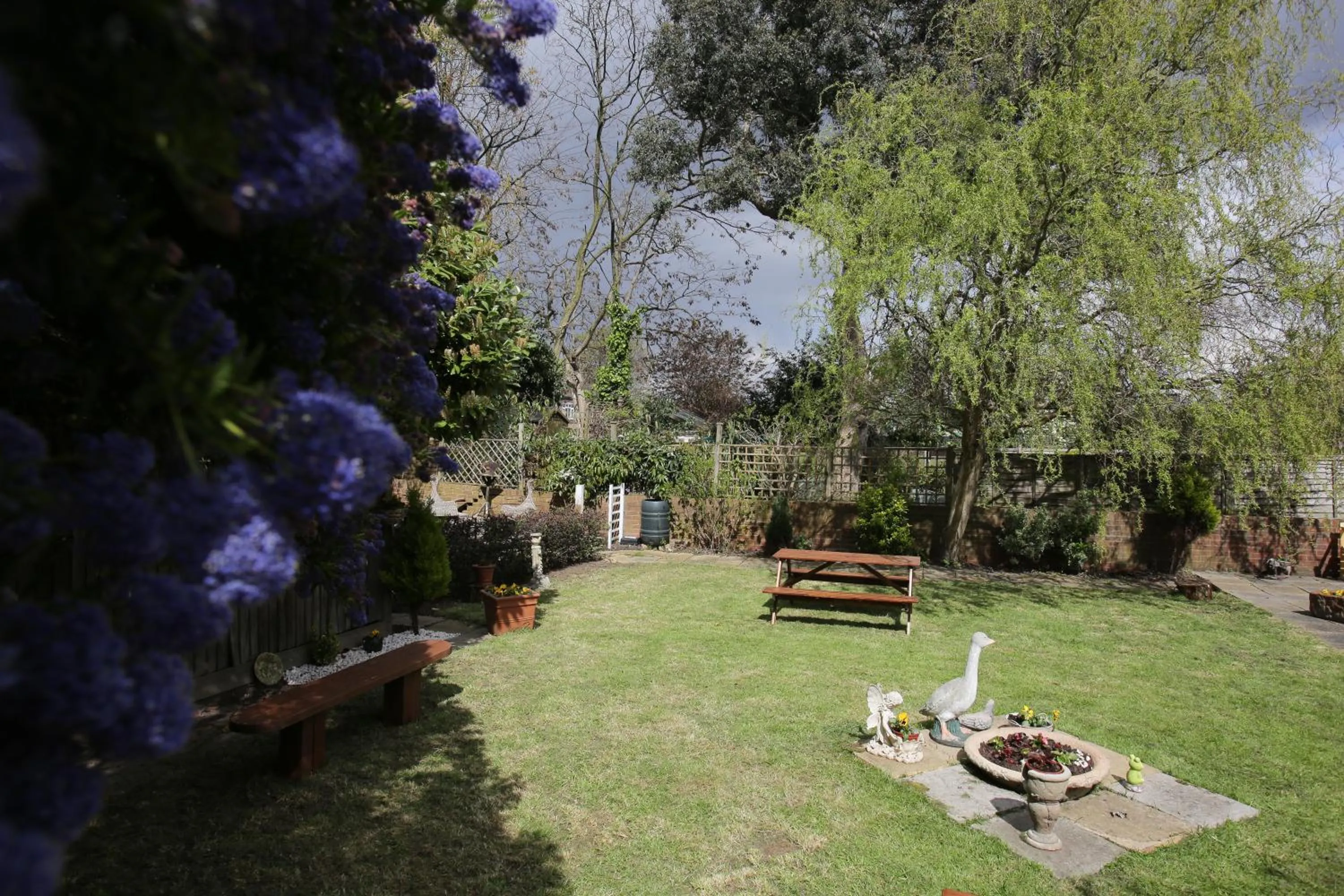 Garden in Manor House London