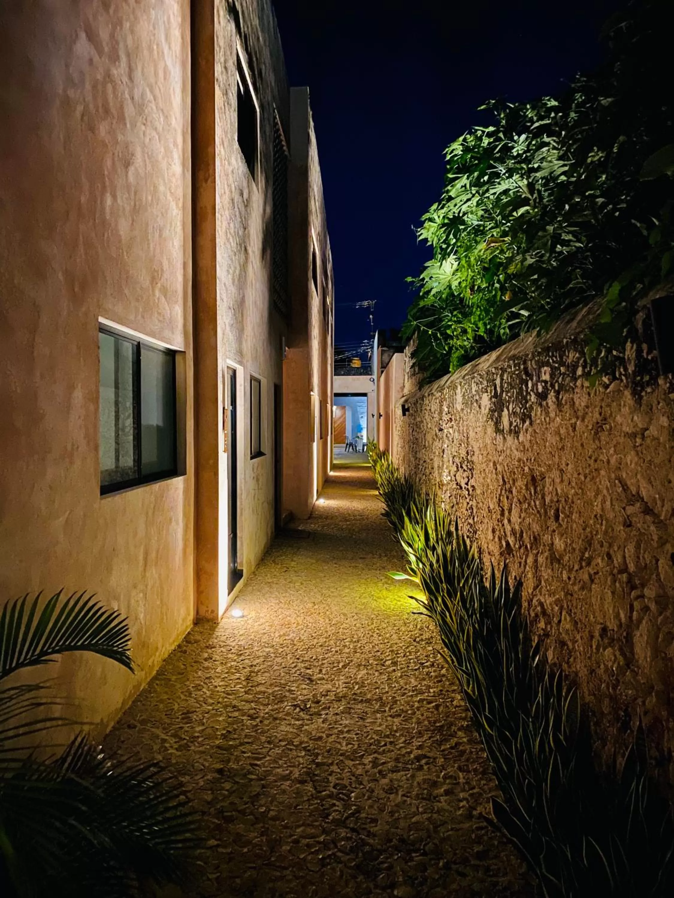 Property building in Hotelito YUM KAAX