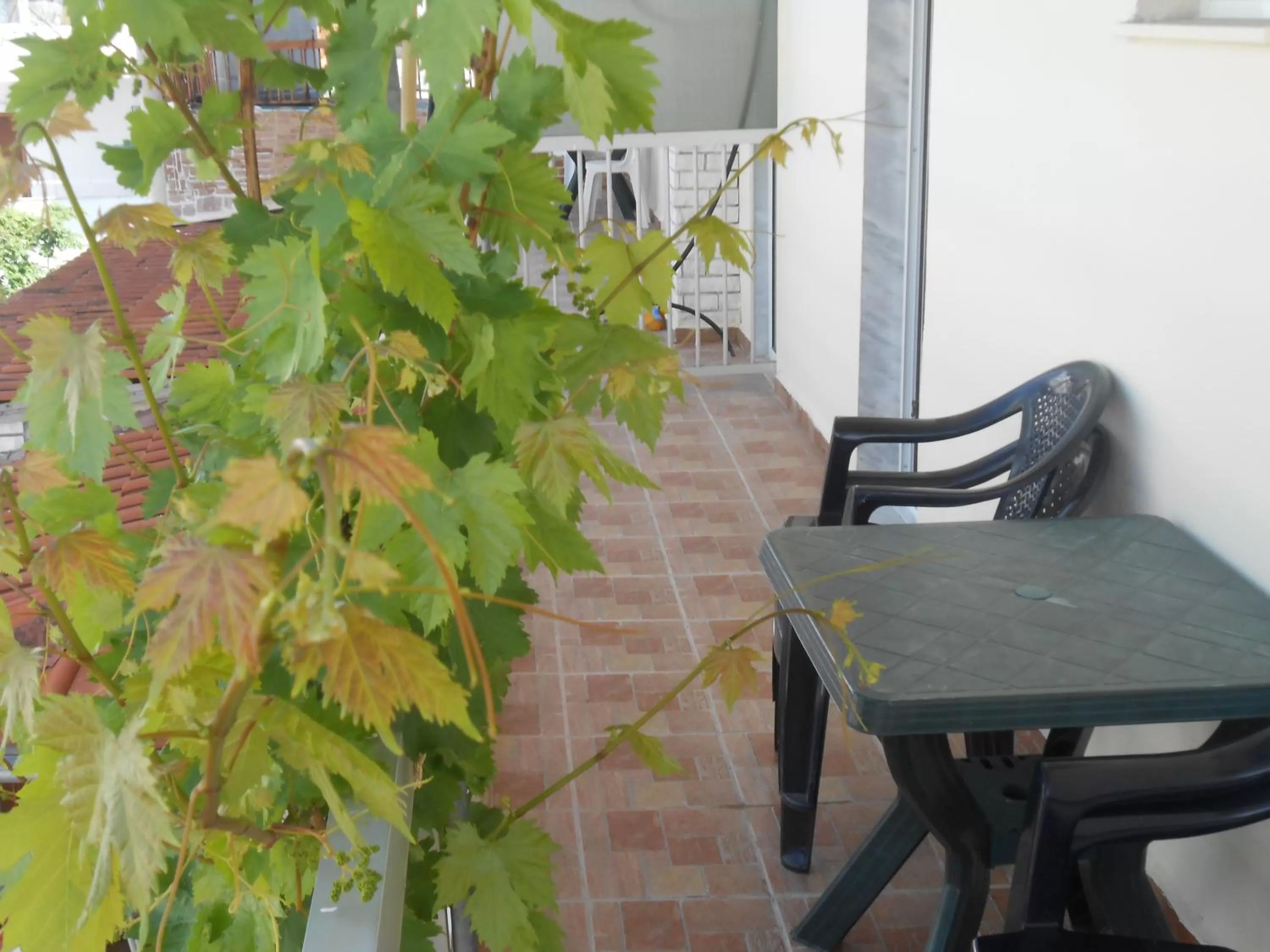Balcony/Terrace in Hotel Germany