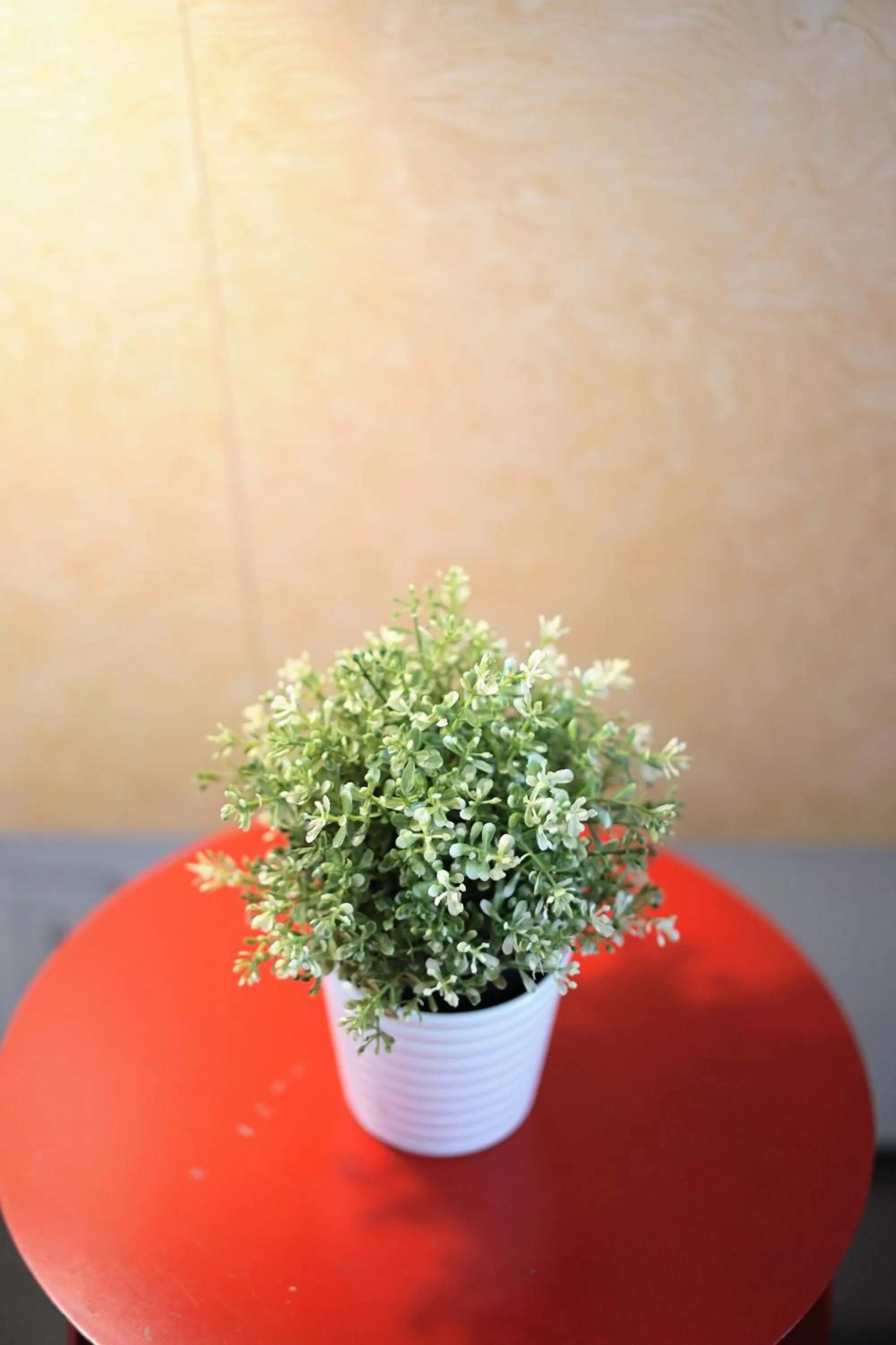 Malaka Hotel Bandung