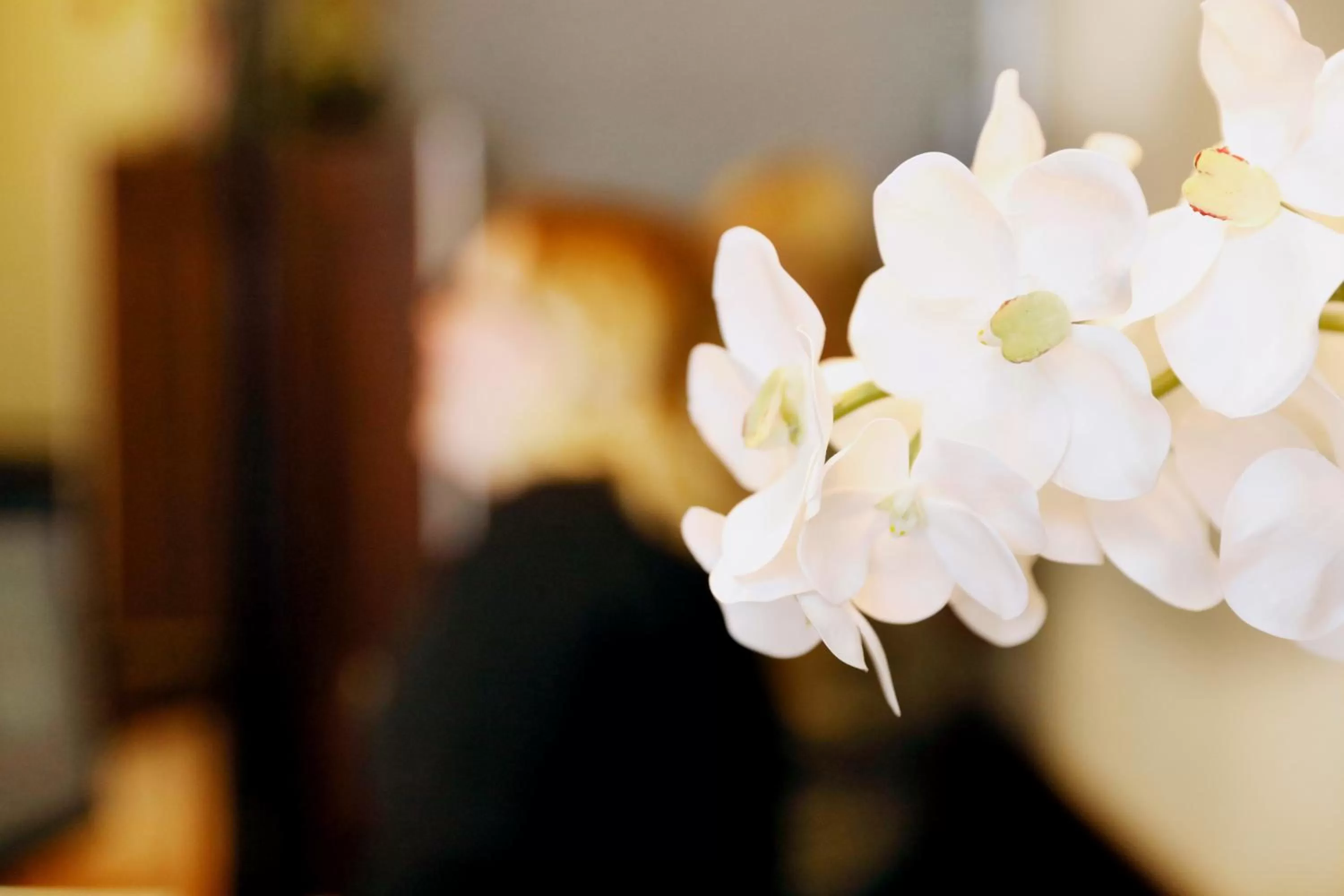 Lobby or reception in Hotel De Gerstekorrel